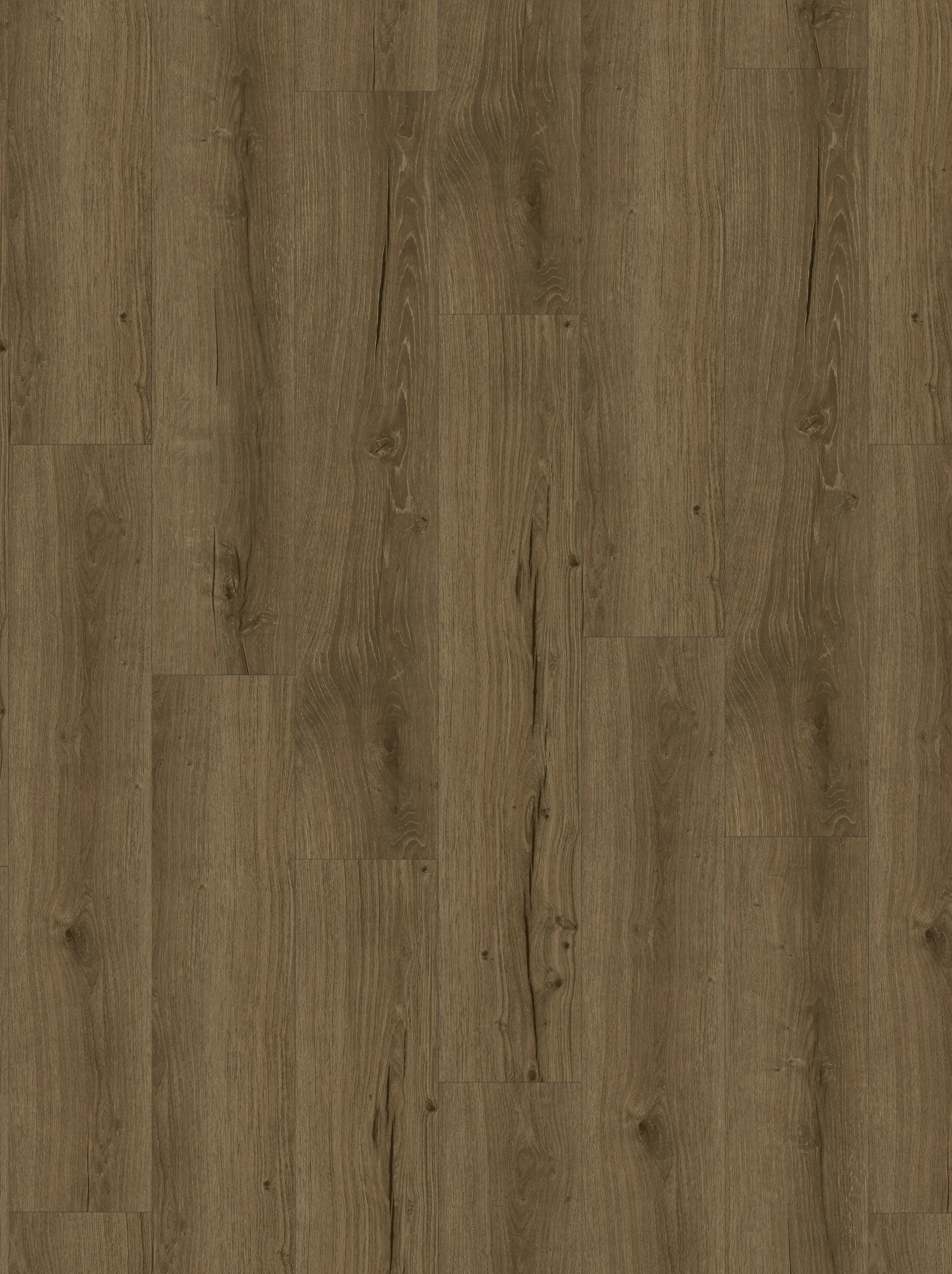 Parador Vinylboden mit Trittschalldämmung Basic 5.3 Eiche Cambridge geräuchert Naturstruktur LHD