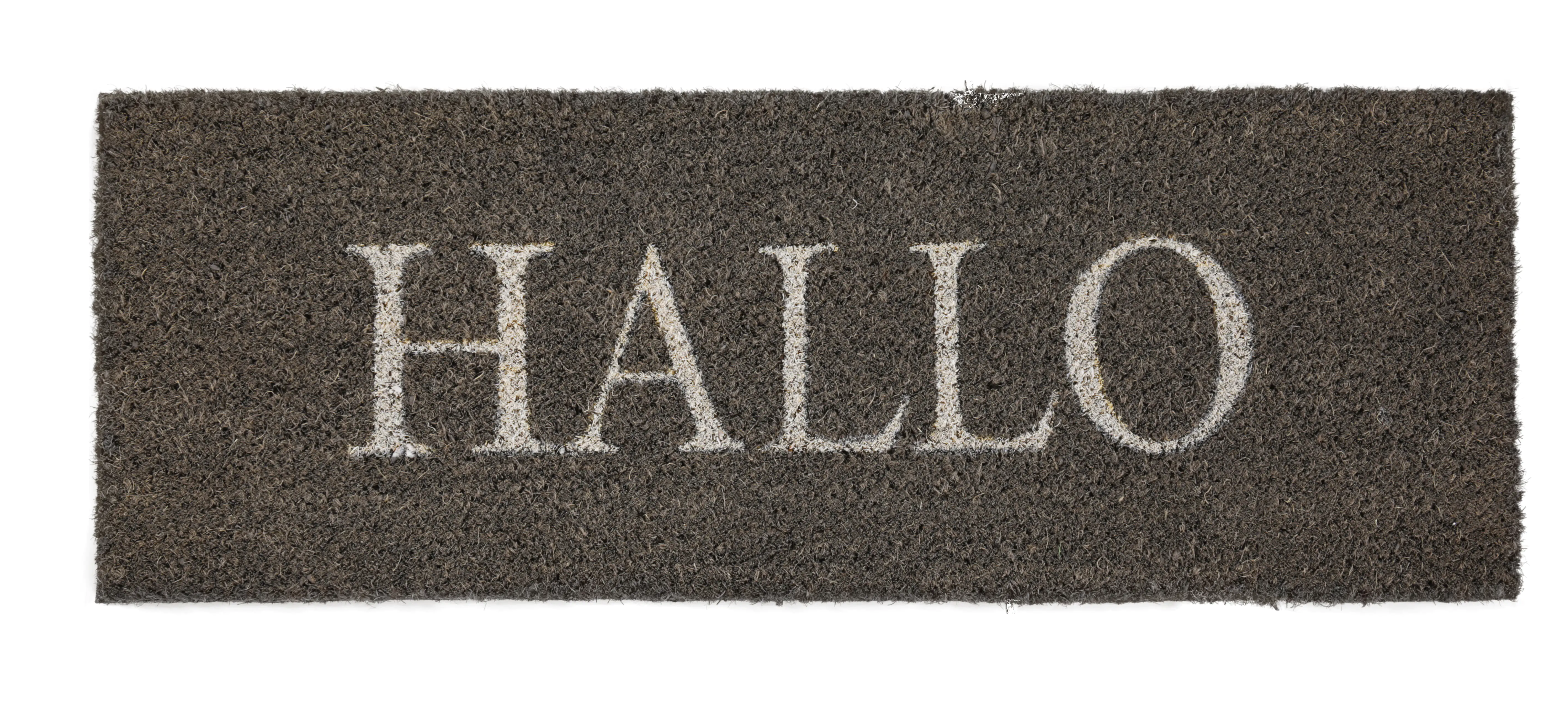 4002398196293 Fußmatte Hallo Kokos schlamm, 26 x 75 cm