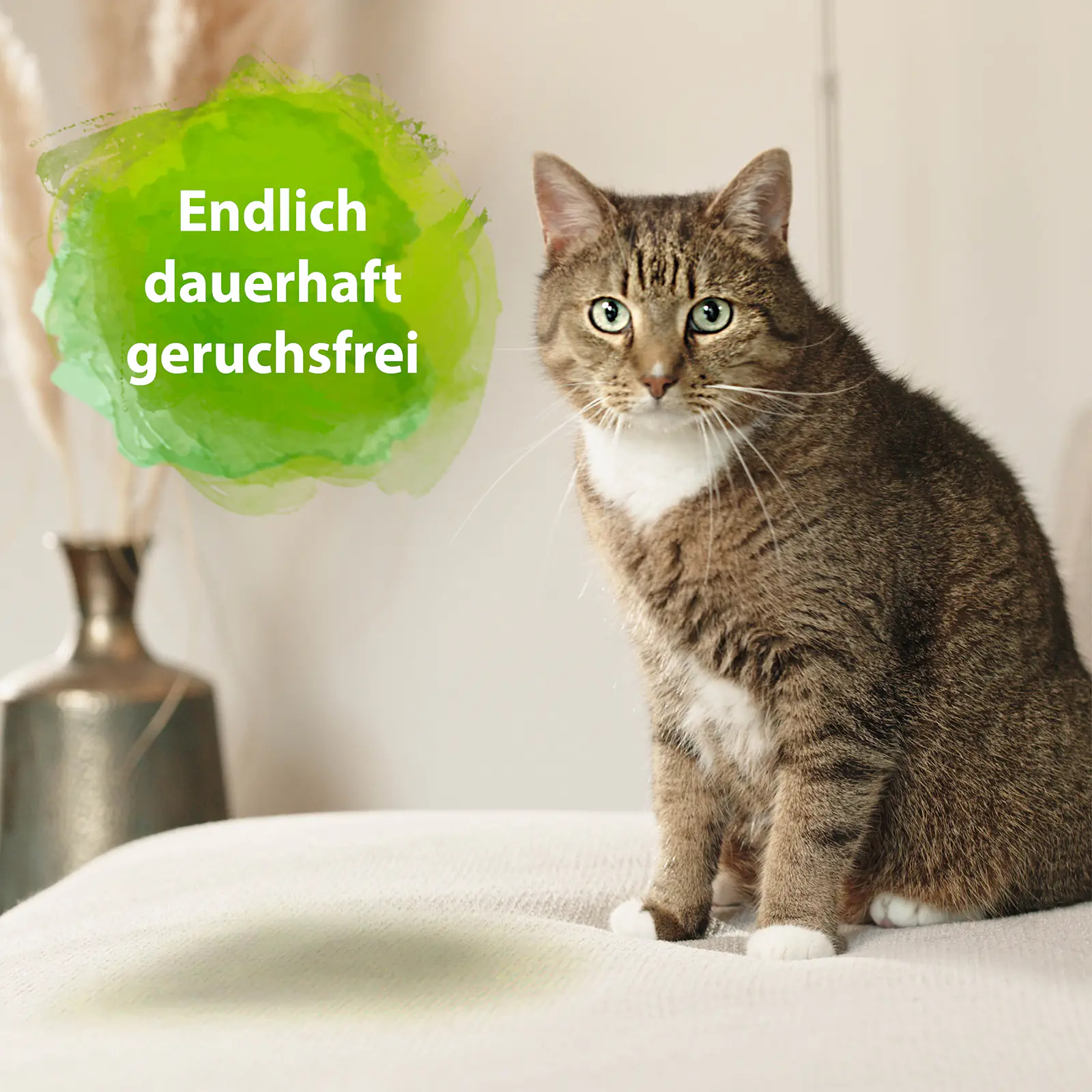 Bactador Katzentoiletten Geruchsentferner 500 ml Bactador Katzentoiletten Geruchsentferner 500 ml