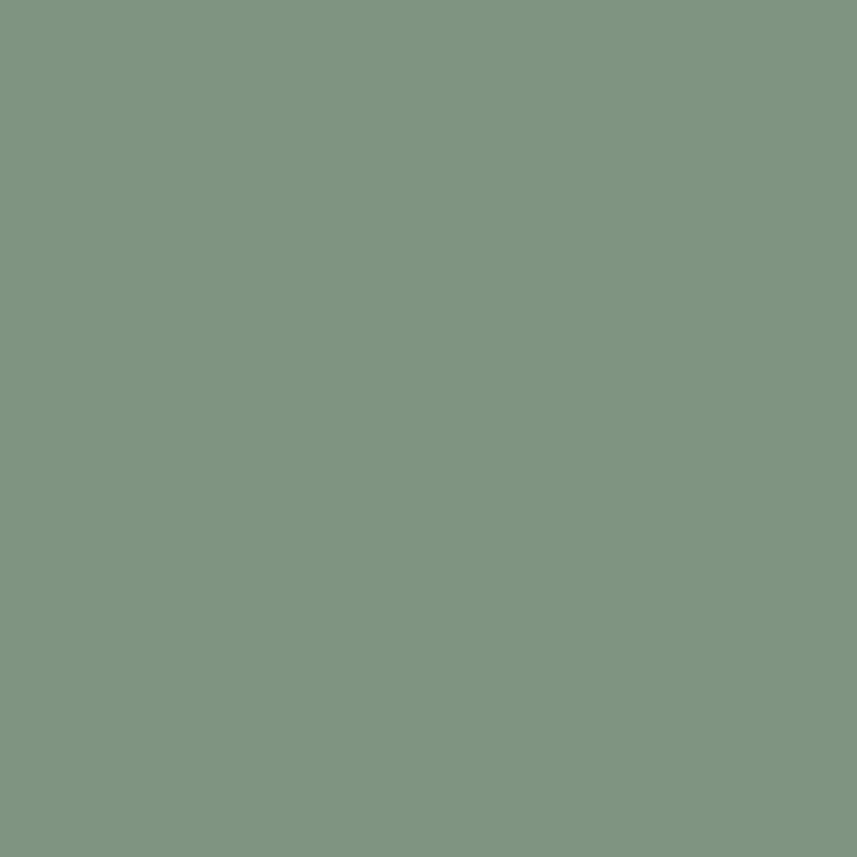 Wetwall Alloy Duschrückwand Seafoam Green/Battleship Grey 60 x 244 cm