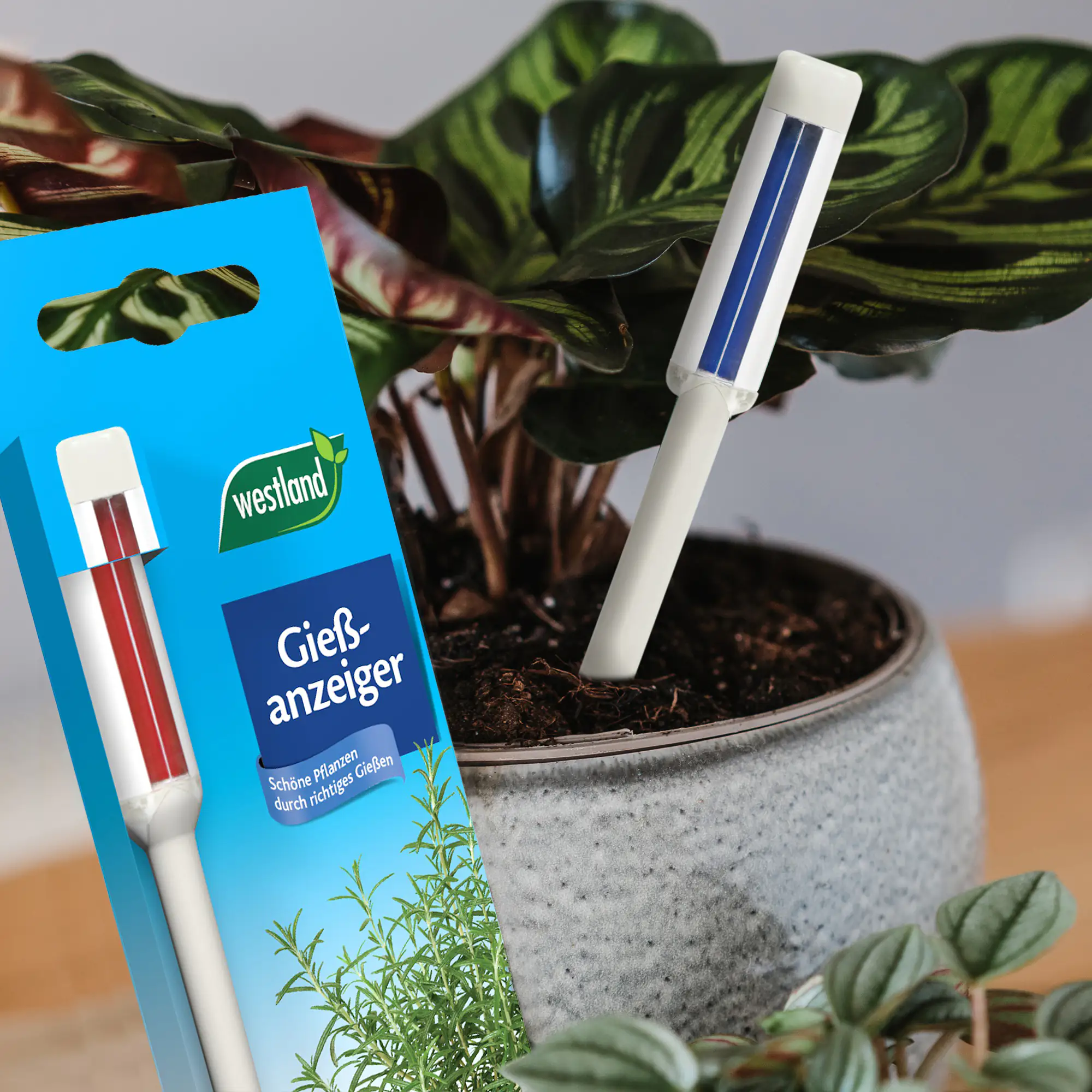 Westland Gießanzeiger groß weiß 26 cm Westland Gießanzeiger groß weiß 26 cm