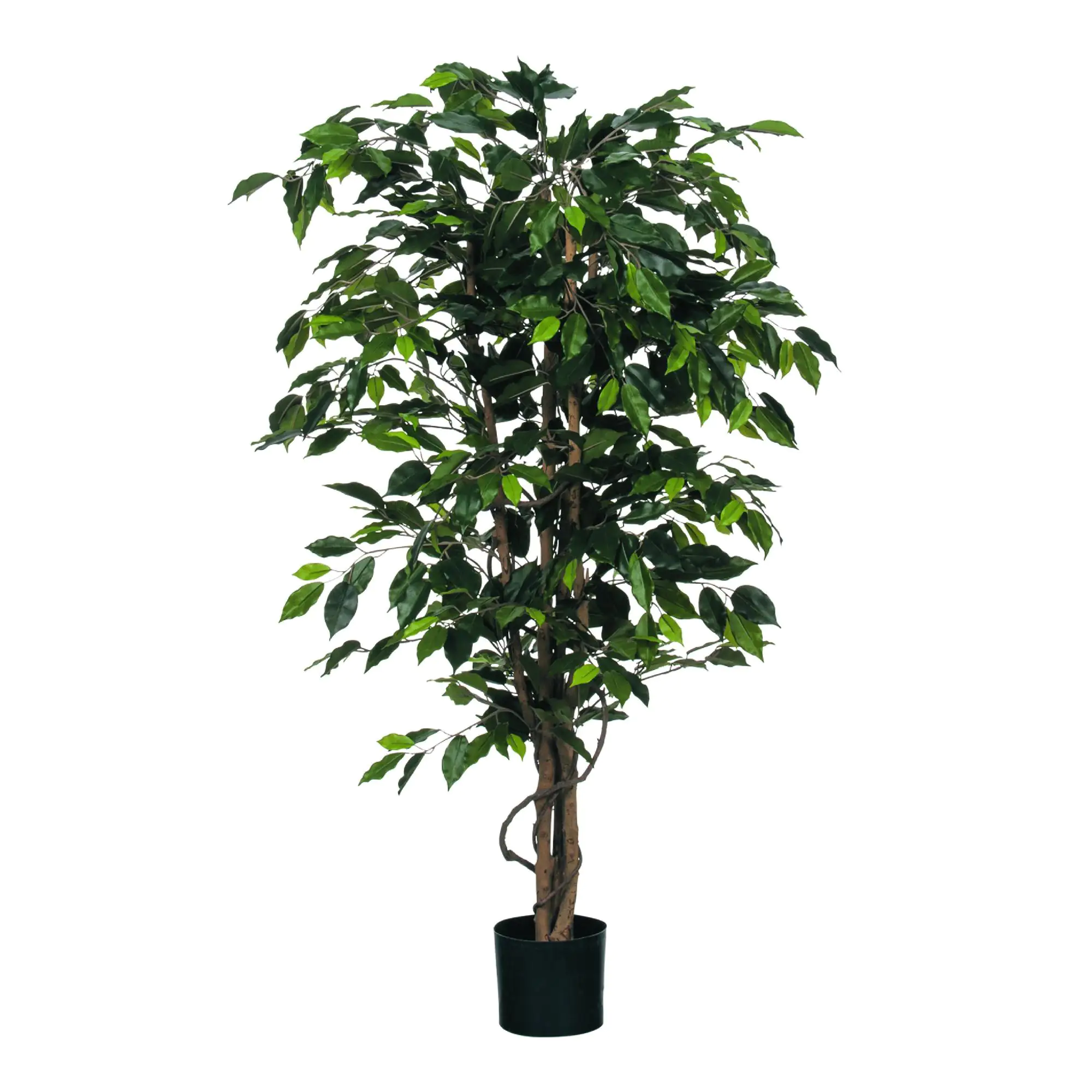 Mica Kunstpflanze Ficus grün im Topf 150 x 85 cm