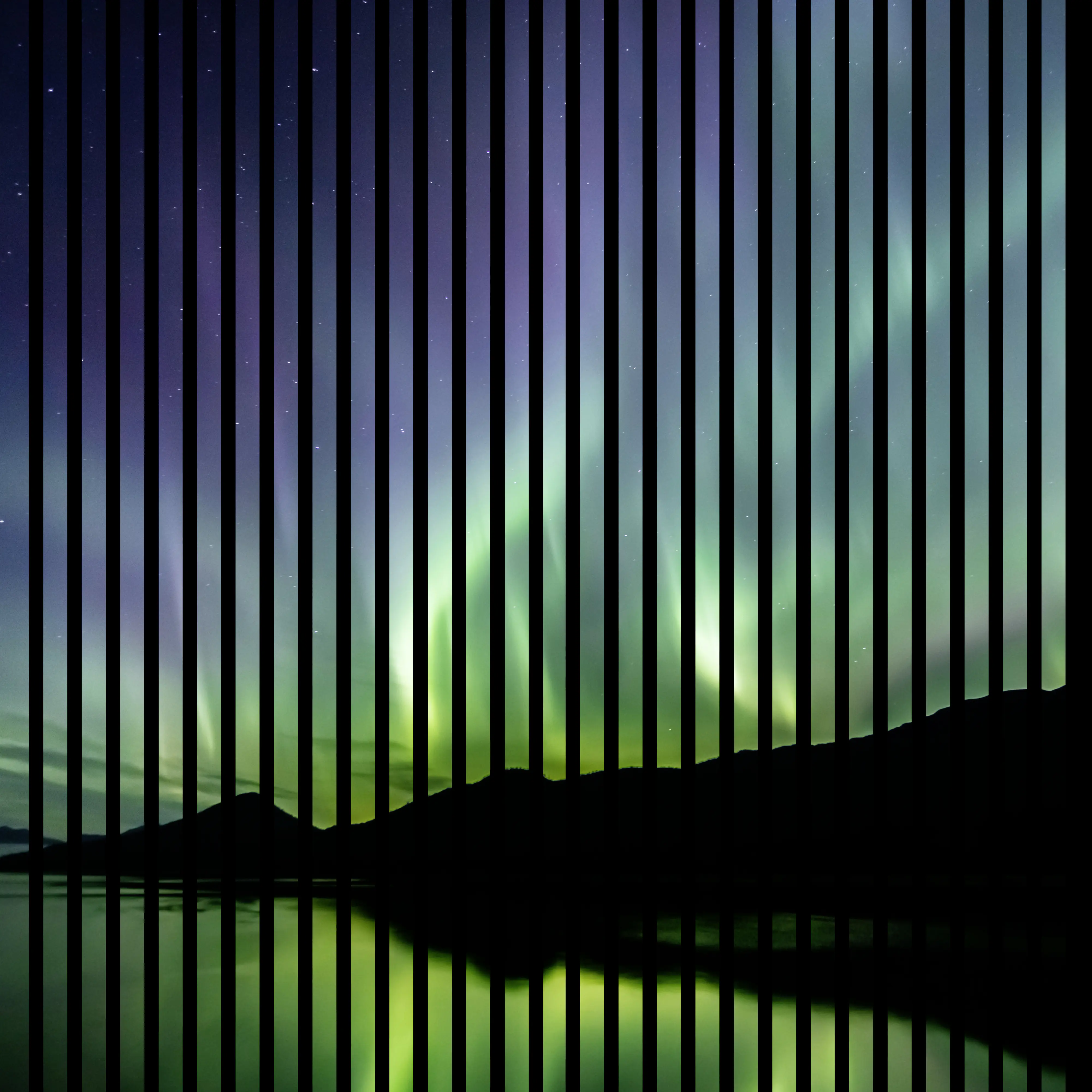 Neuhofer Akustikpaneele Aurora 119,5 x 113,3 x 1,9 cm