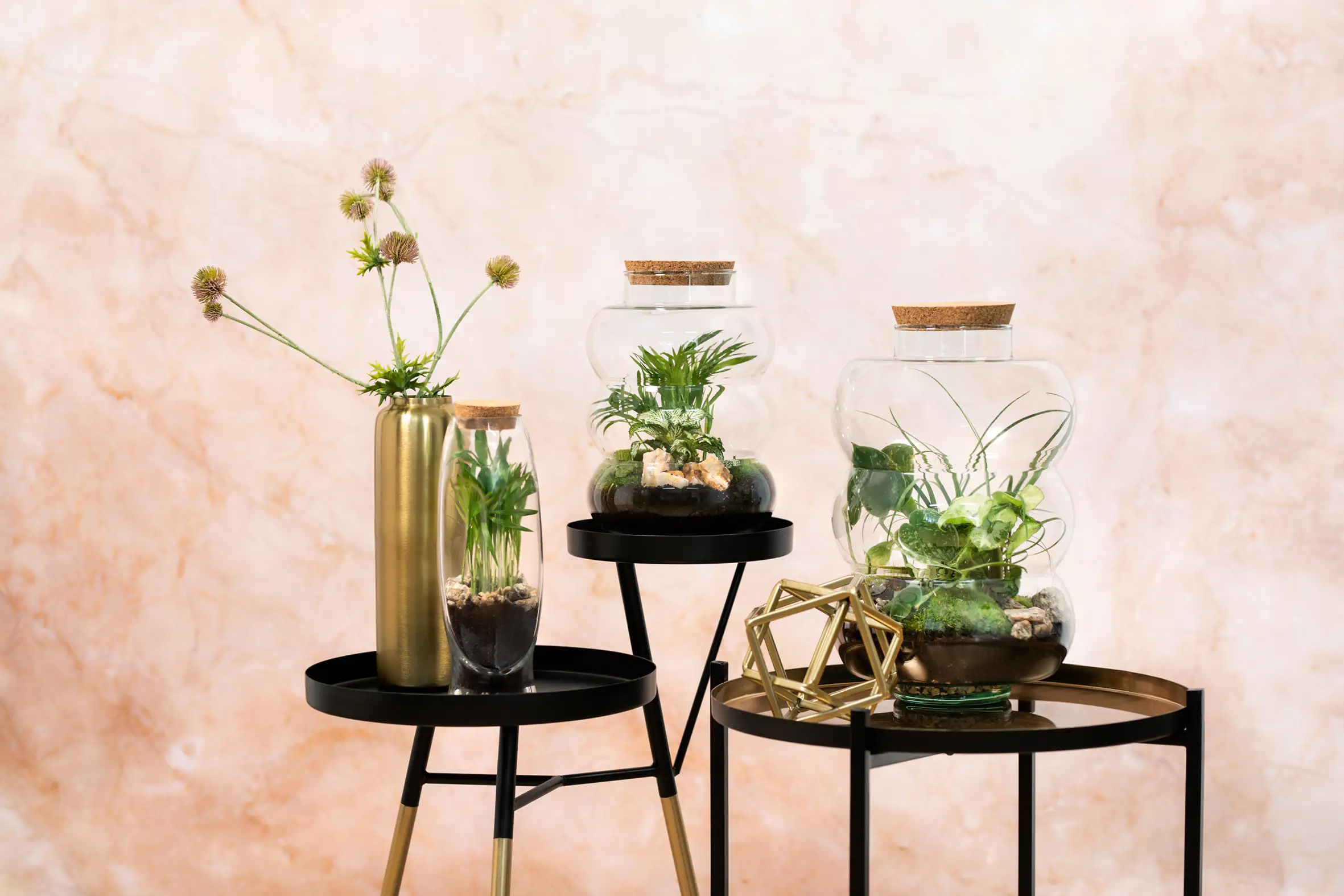 Flaschengarten DIY-Set Rund XL 8-teilig