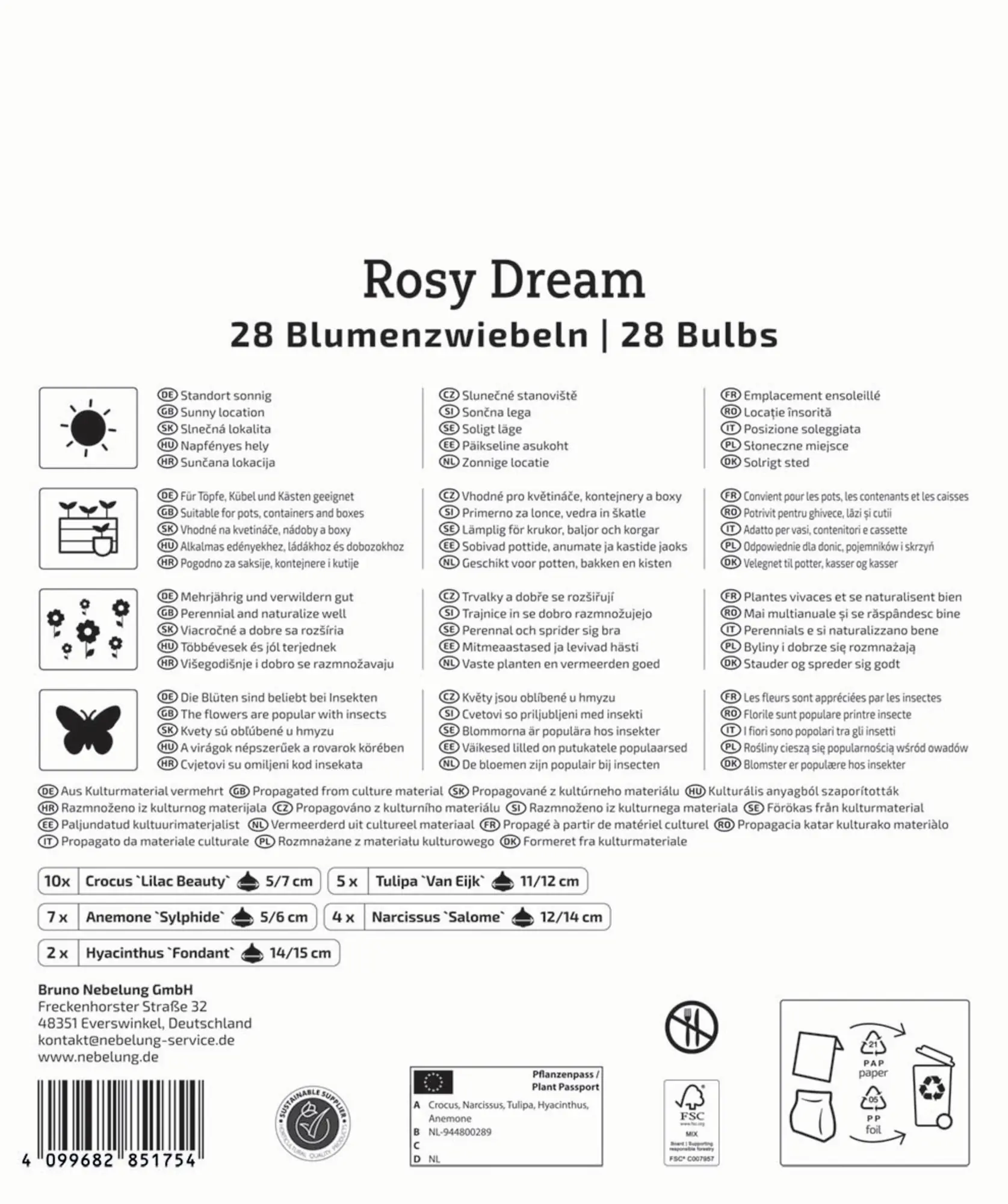 Kiepenkerl Herbstblumenzwiebelmischung Mega-Pack Rosy Dream 28 Stück