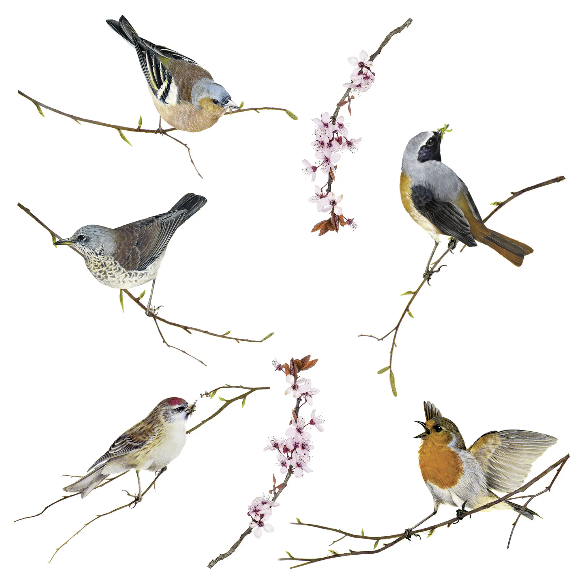 Komar Windowsticker Birds 31 x 31 cm