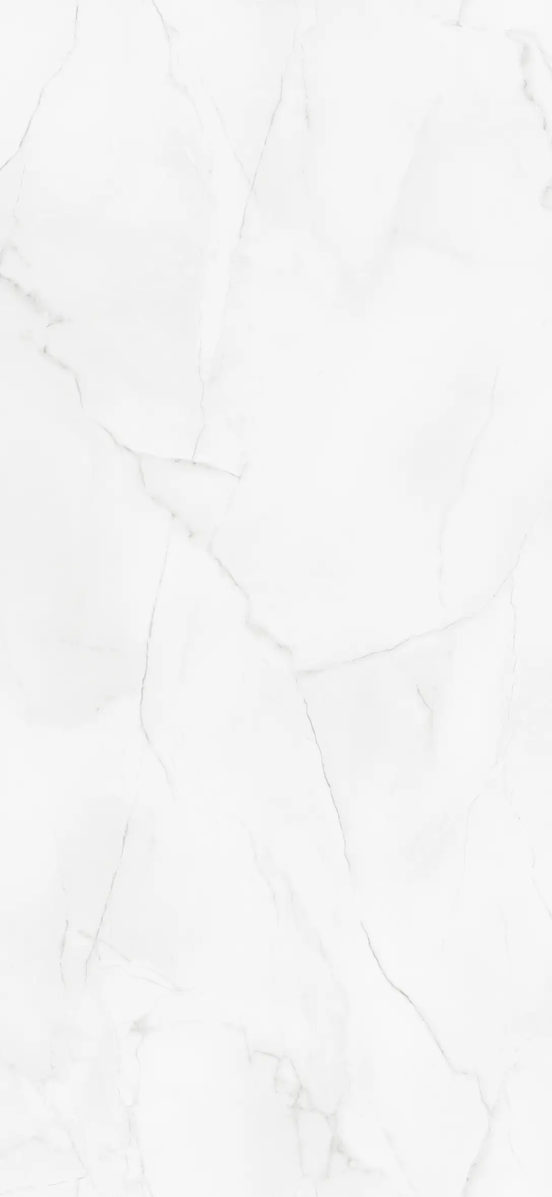Wetwall Elite Duschrückwand Athena Marble 60 x 242 cm mit Nut & Feder