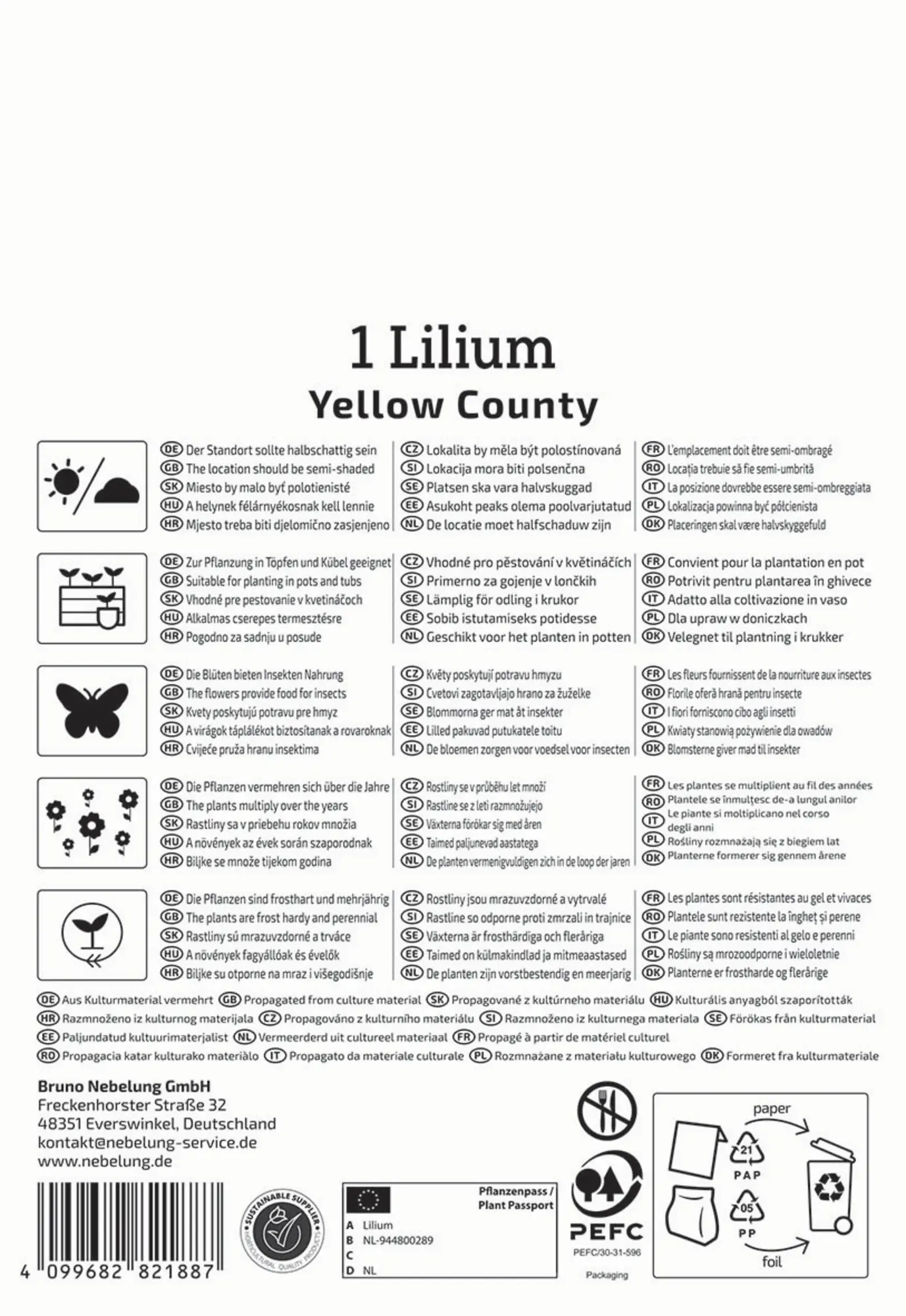 Kiepenkerl Frühjahrsblumenzwiebel Asiatische Lilie Yellow County 1 Stück