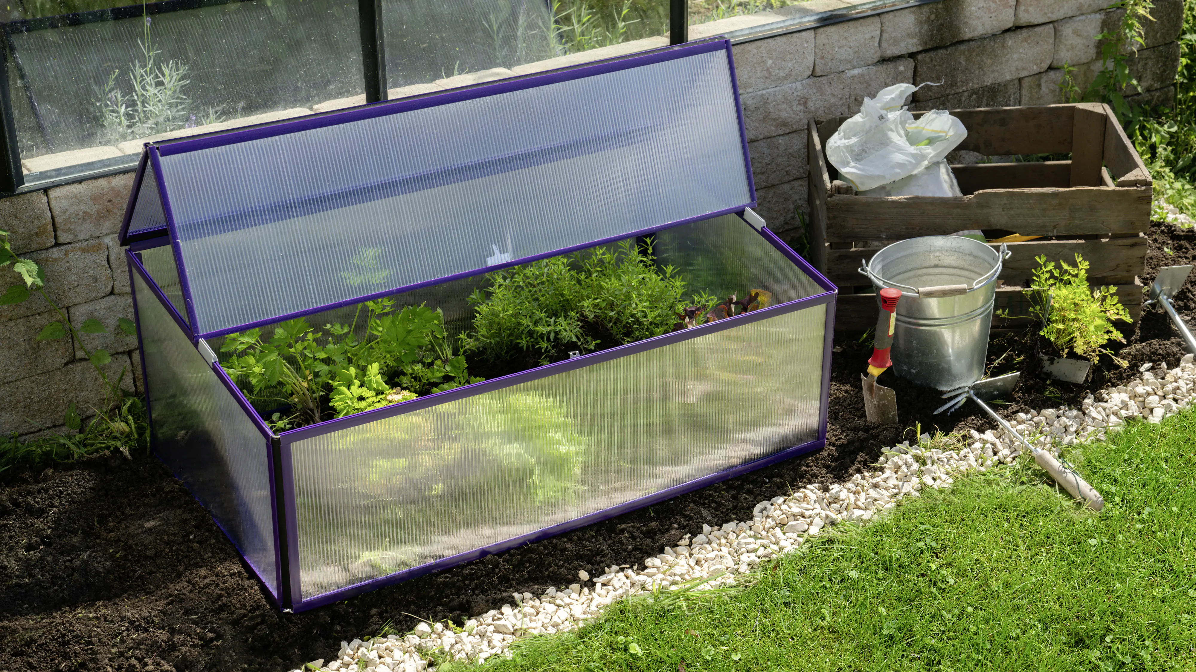 Vitavia Frühbeet Levana 1 57 x 98 cm feige