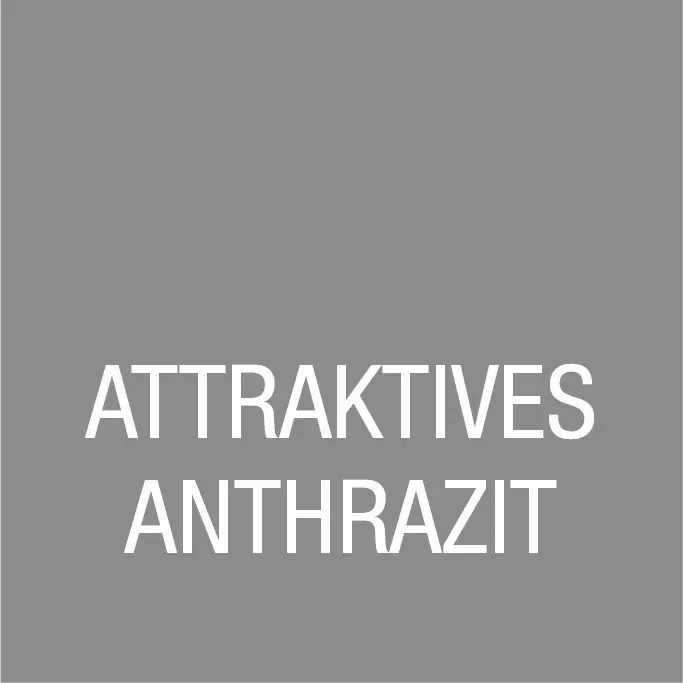 Bondex Garden Colors 750 ml attraktives anthrazit Bondex Garden Colors 750 ml attraktives anthrazit