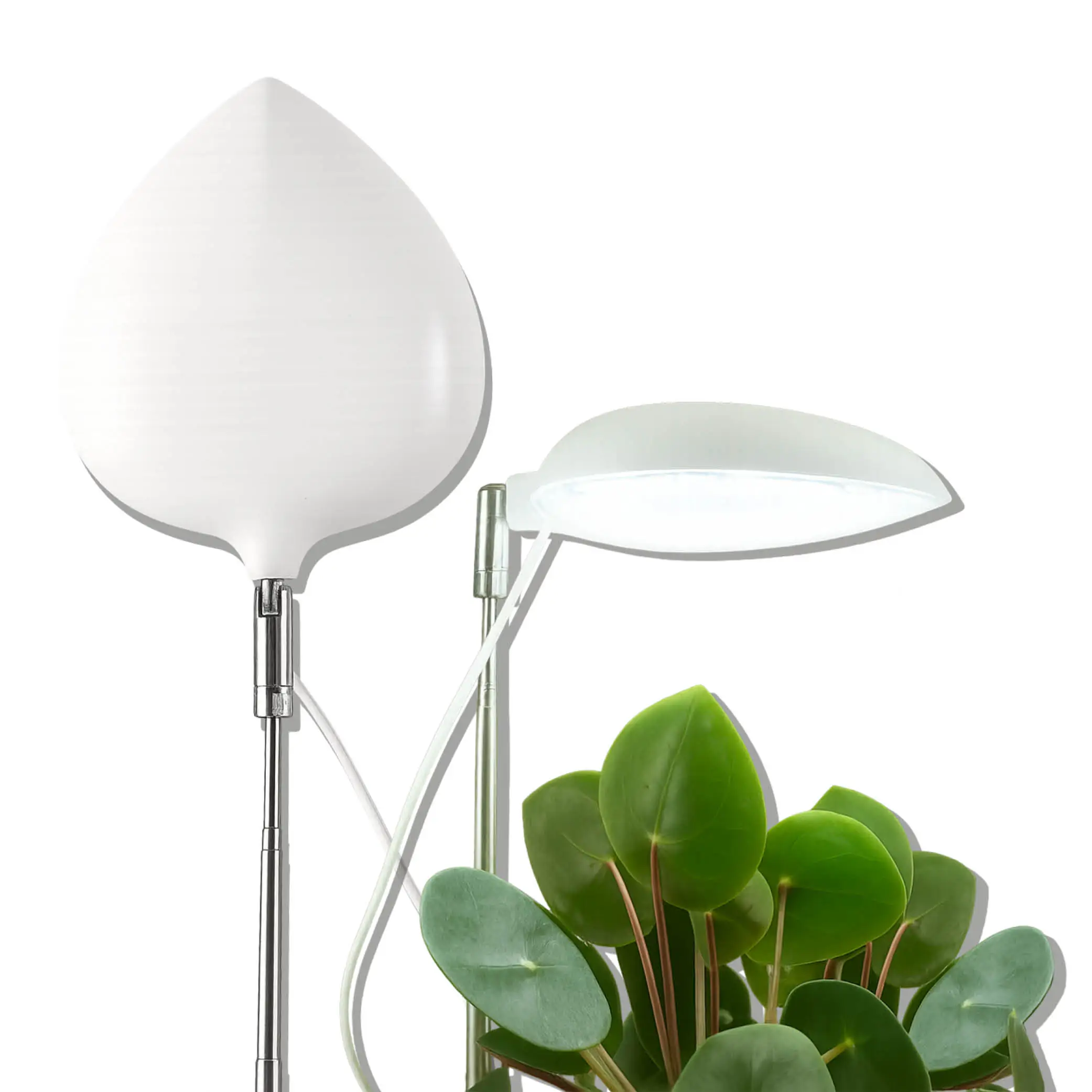 Biogreen LED Vollspektrum Pflanzenleuchte "LEAF" dimmbar, mit Schaltzeituhr - Grow light