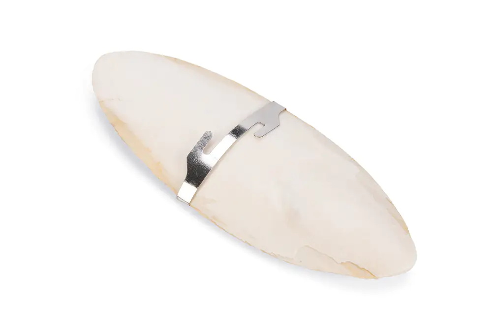 Sepiaschale 16,5cm Sepiaschale 16,5cm