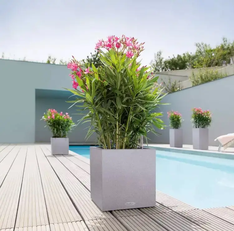 Lechuza Pflanzgefäß Canto Stone 30 low graphitschwarz