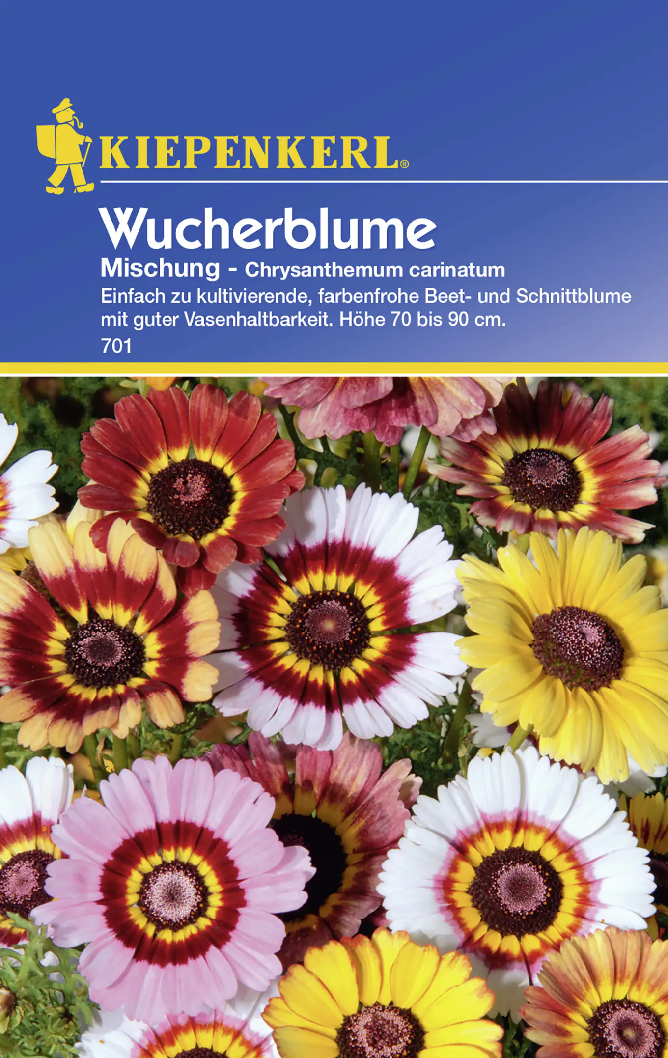 Kiepenkerl Wucherblume Mischung Chrysanthemum carinatum, Inhalt: ca. 40 Pflanzen