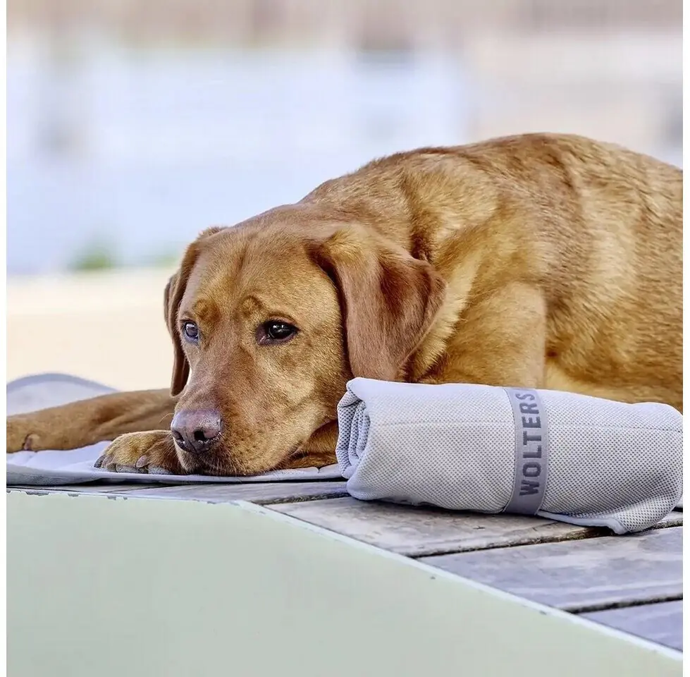 Wolters Watchout Kühlmatte für Hunde grau