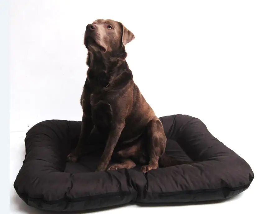 Lebon Hundekissen Ponto eckig braun