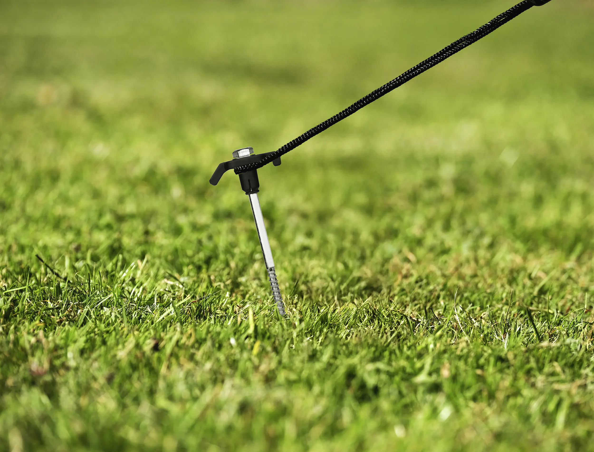 Calima Zeltheringe in Box 24-tlg.