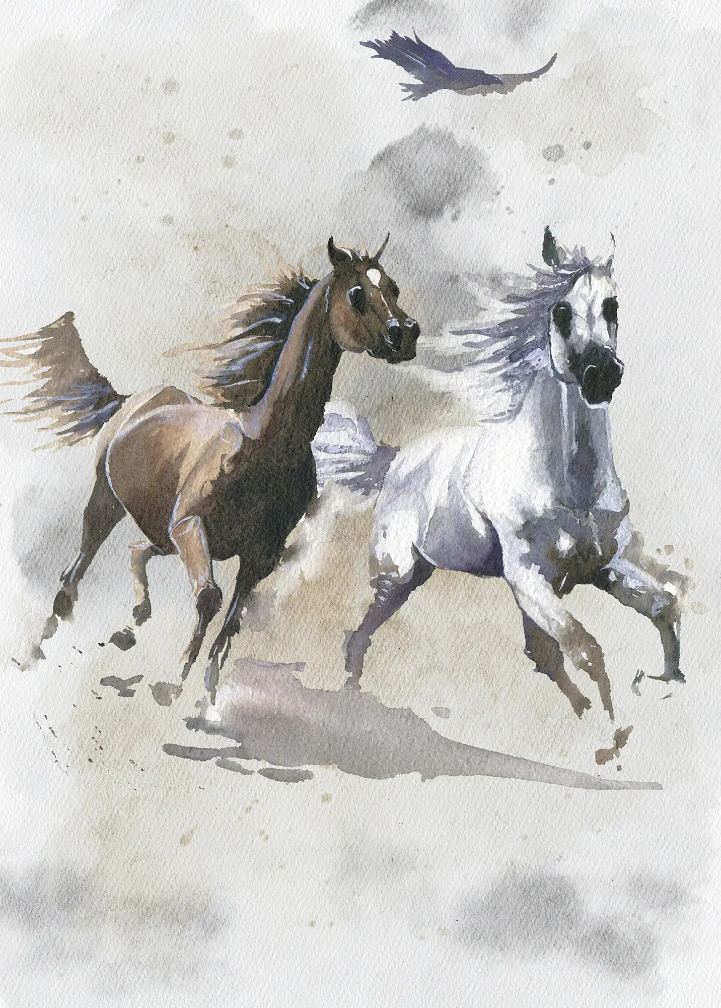 Komar Vlies Fototapete Wild Ride 200 x 280 cm  Komar Vlies Fototapete Wild Ride 200 x 280 cm