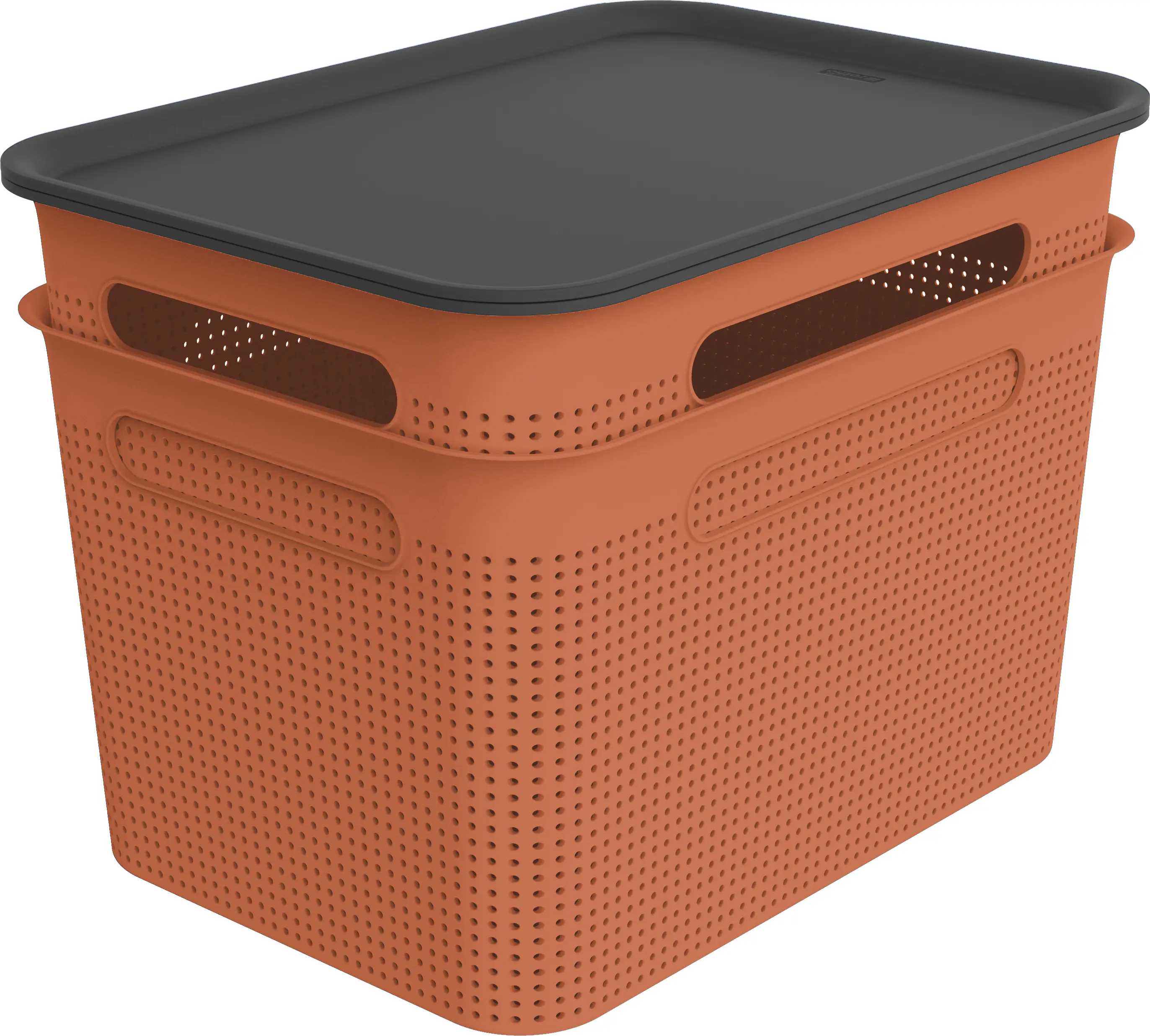 Rotho Aufbewahrungsbox Brisen mit Deckel 36,5 x 26,5 cm 16 L clay koralle 2er Set