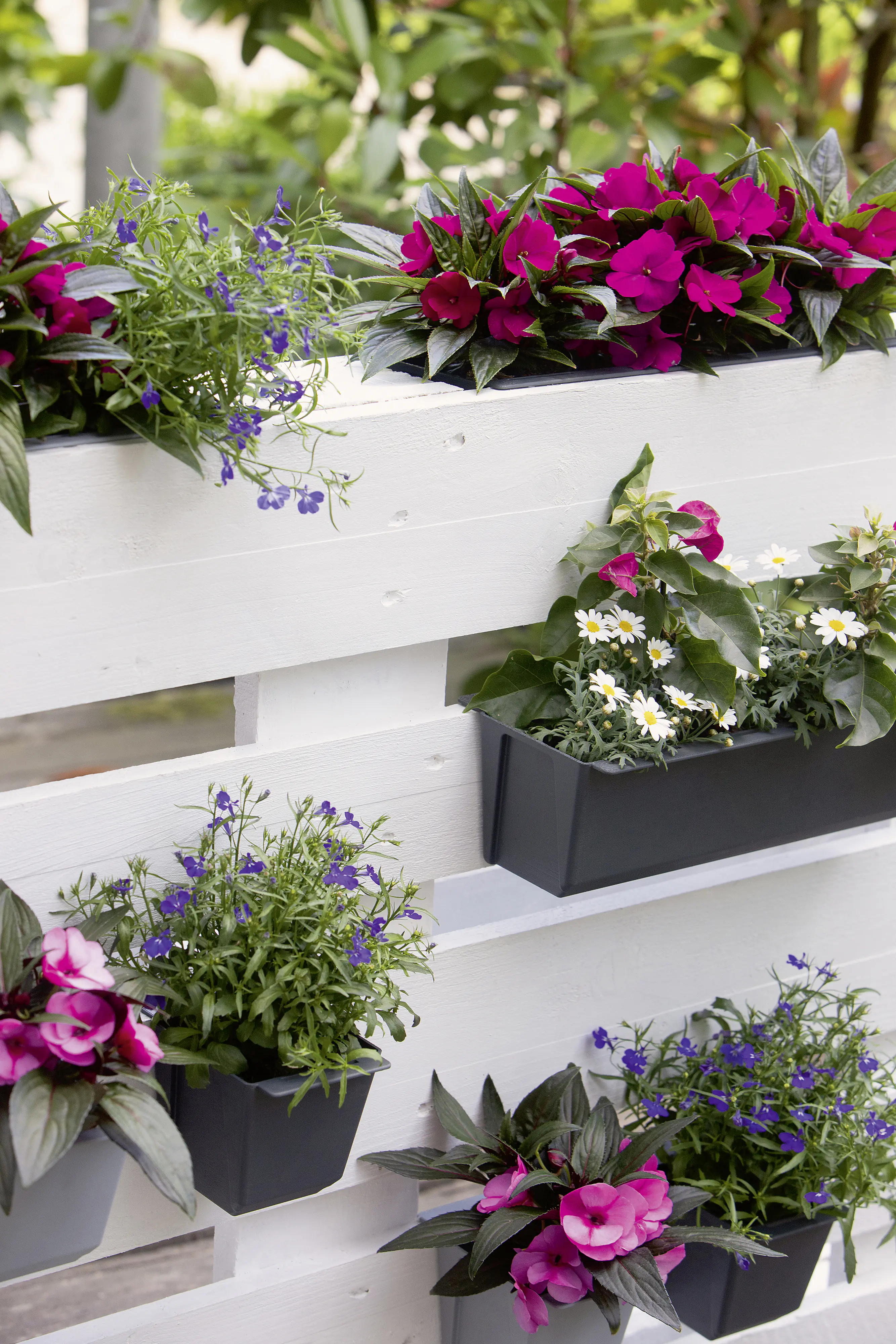 Geli Pflanztopf Easy 37 x 10 cm anthrazit für Europalette