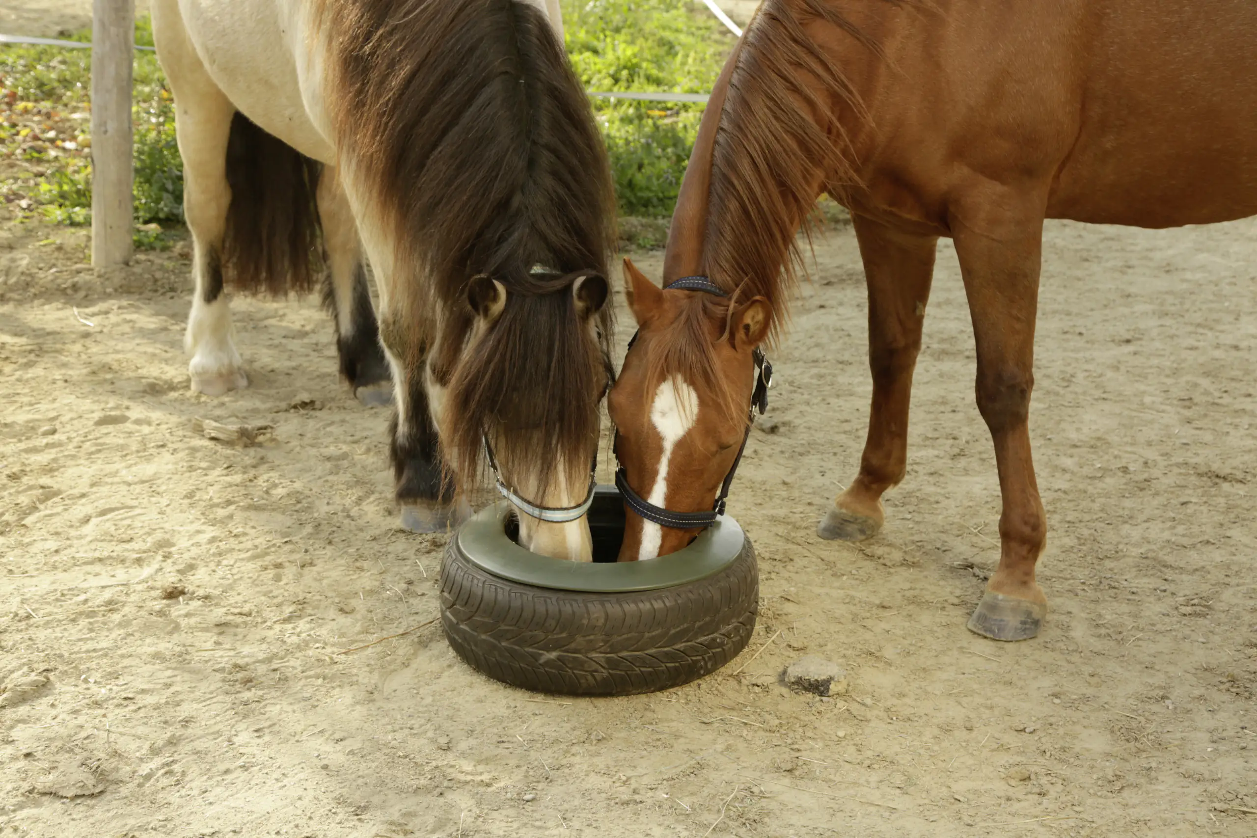 Kerbl Reifentrog 15 Liter