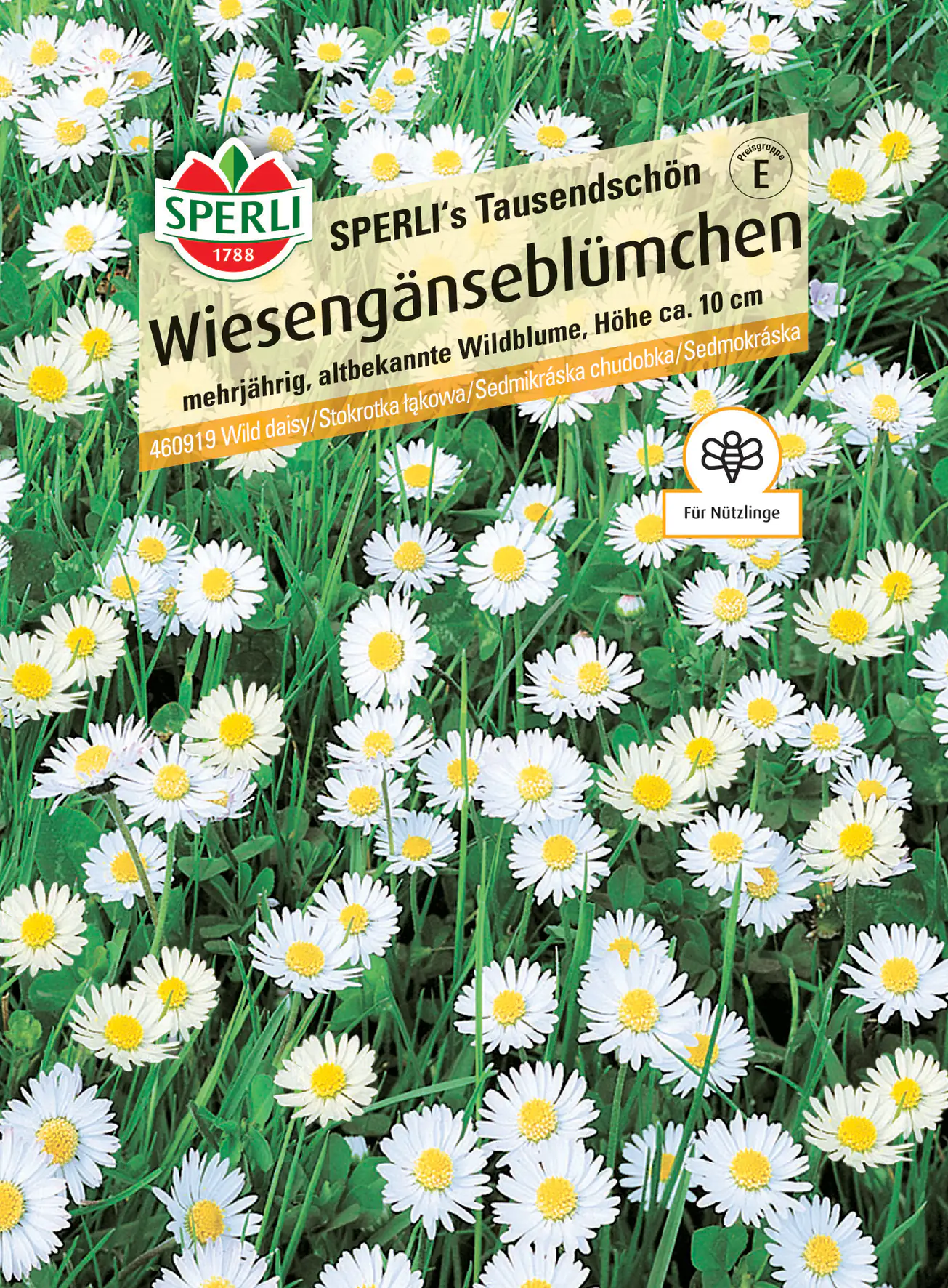 Sperli Wiesengänseblümchen SPERLI's Tausendschön Sperli Wiesengänseblümchen SPERLI's Tausendschön