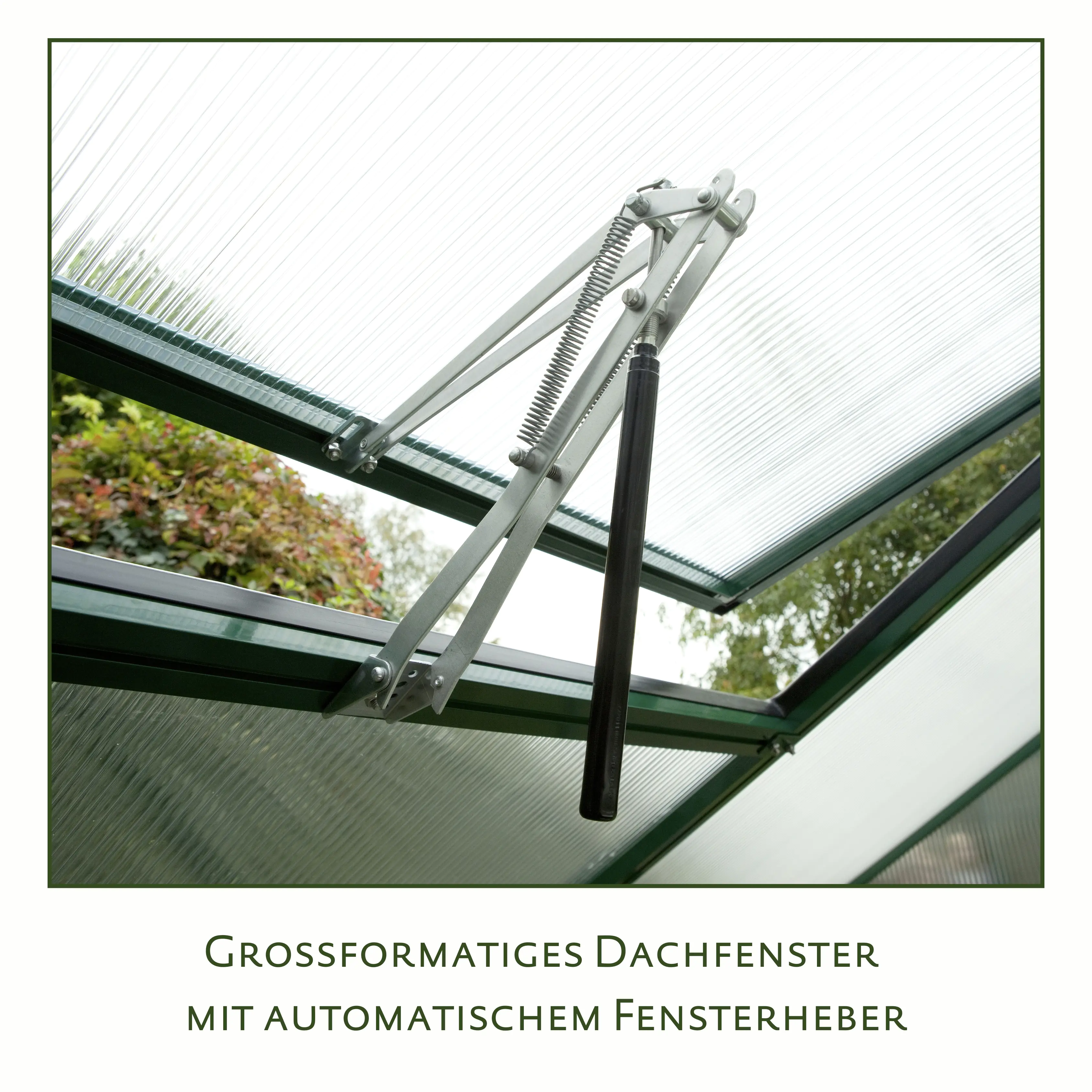 KGT Gewächshaus Rose IV 4,29 x 2,33 x 2,15 m, anthrazit-grau