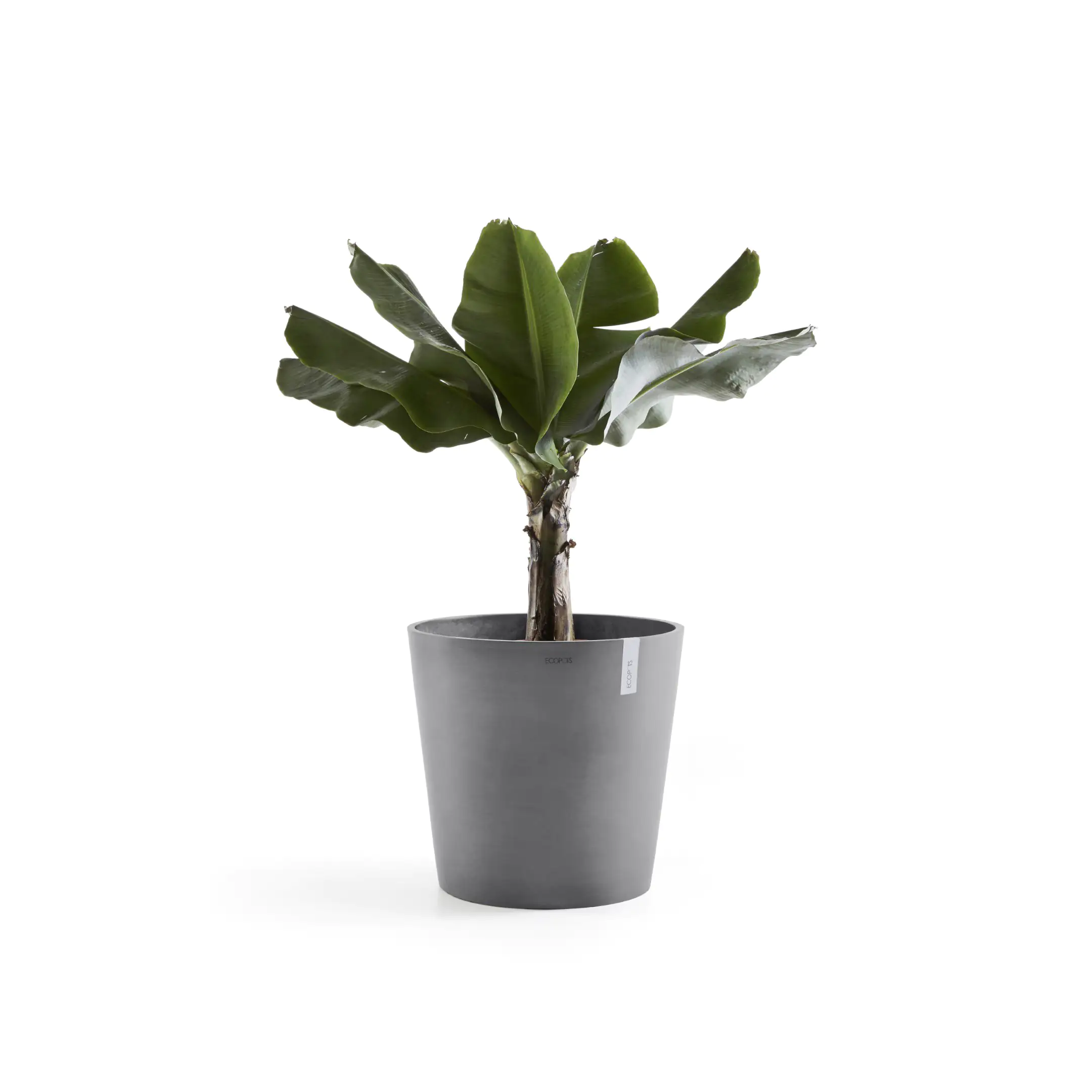 Ecopots Pflanztopf Amsterdam Ø 59 x 54,8 cm grau Ecopots Pflanztopf Amsterdam Ø 59 x 54,8 cm grau