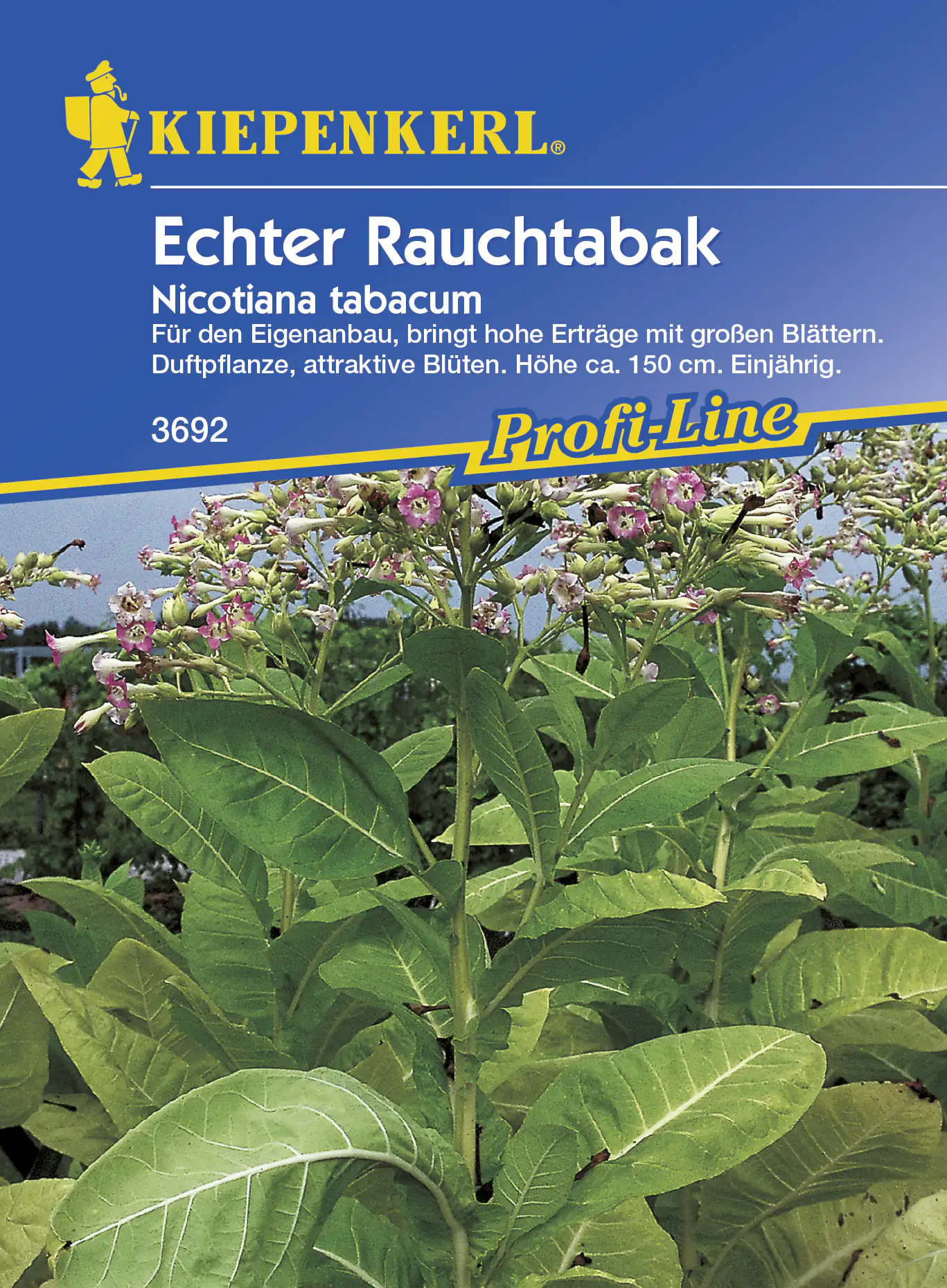 Kiepenkerl Echter Rauchtabak ca. 50 Pflanzen