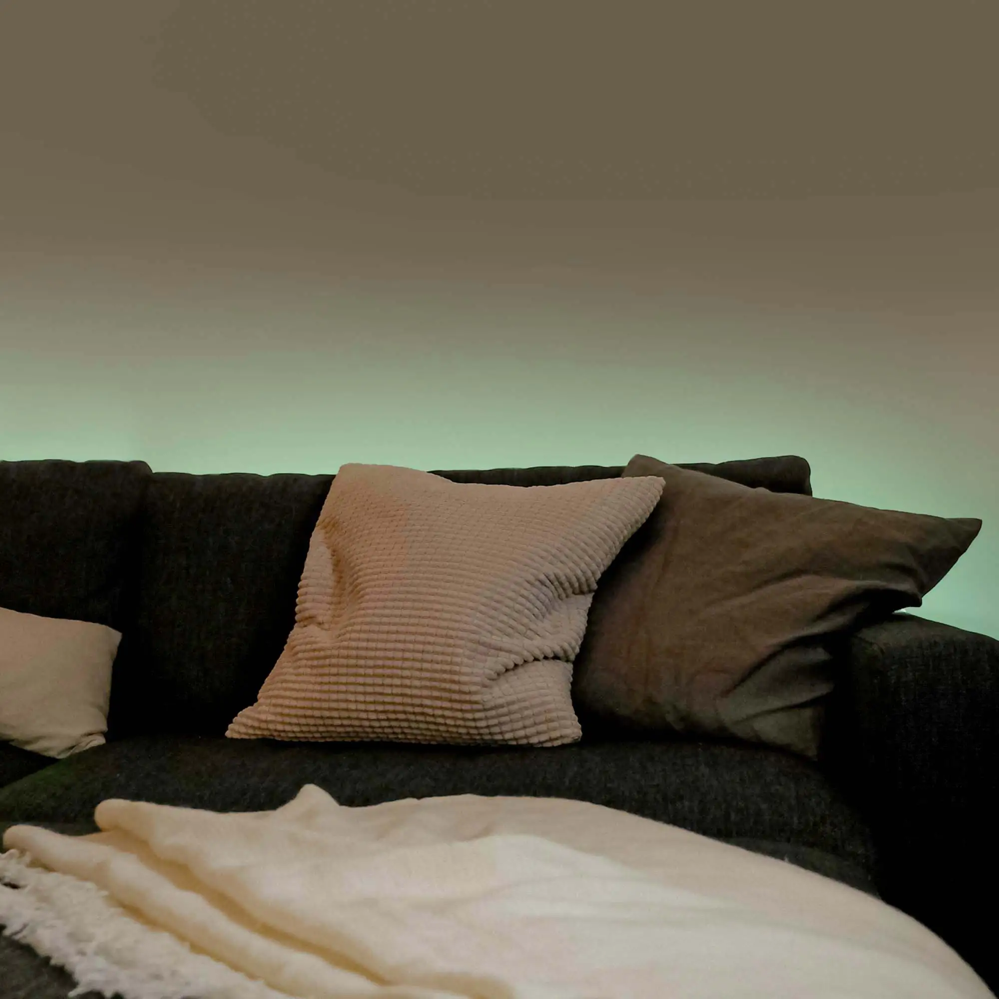 MegaLight Smart LED Stripe Tuya USB RGB 2m 2 m RGB USB Smart Home