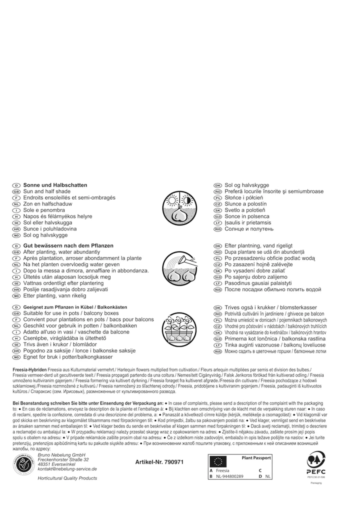 Kiepenkerl Freesien einfach blühende Mischung