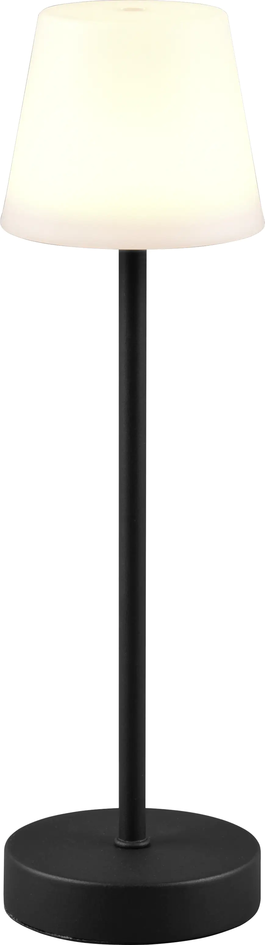 Reality Leuchten LED Akku-Tischleuchte Martinez schwarz 39 cm TW Reality Leuchten LED Akku-Tischleuchte Martinez schwarz 39 cm TW