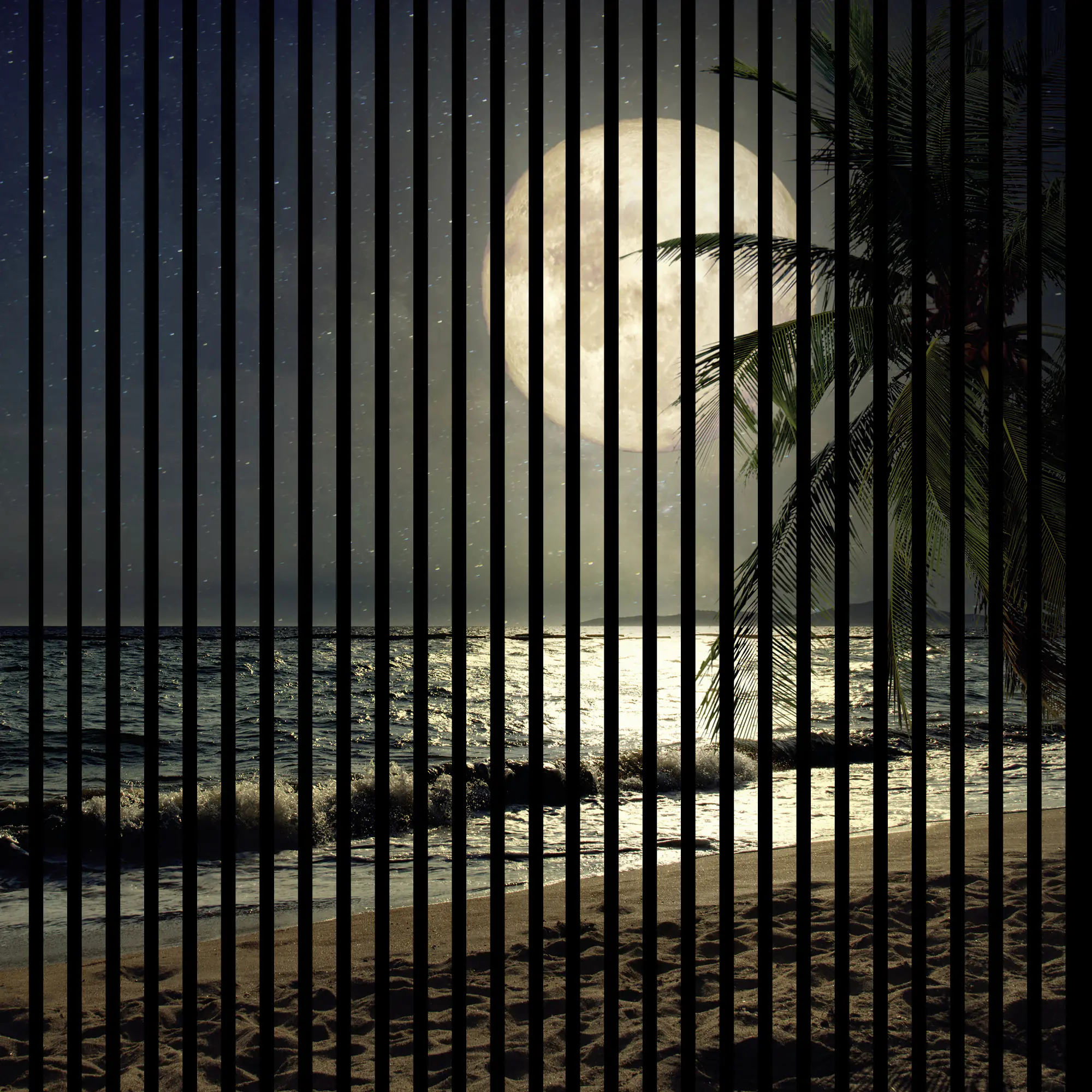 Neuhofer Akustikpaneele Mond 119,5 x 113,3 x 1,9 cm