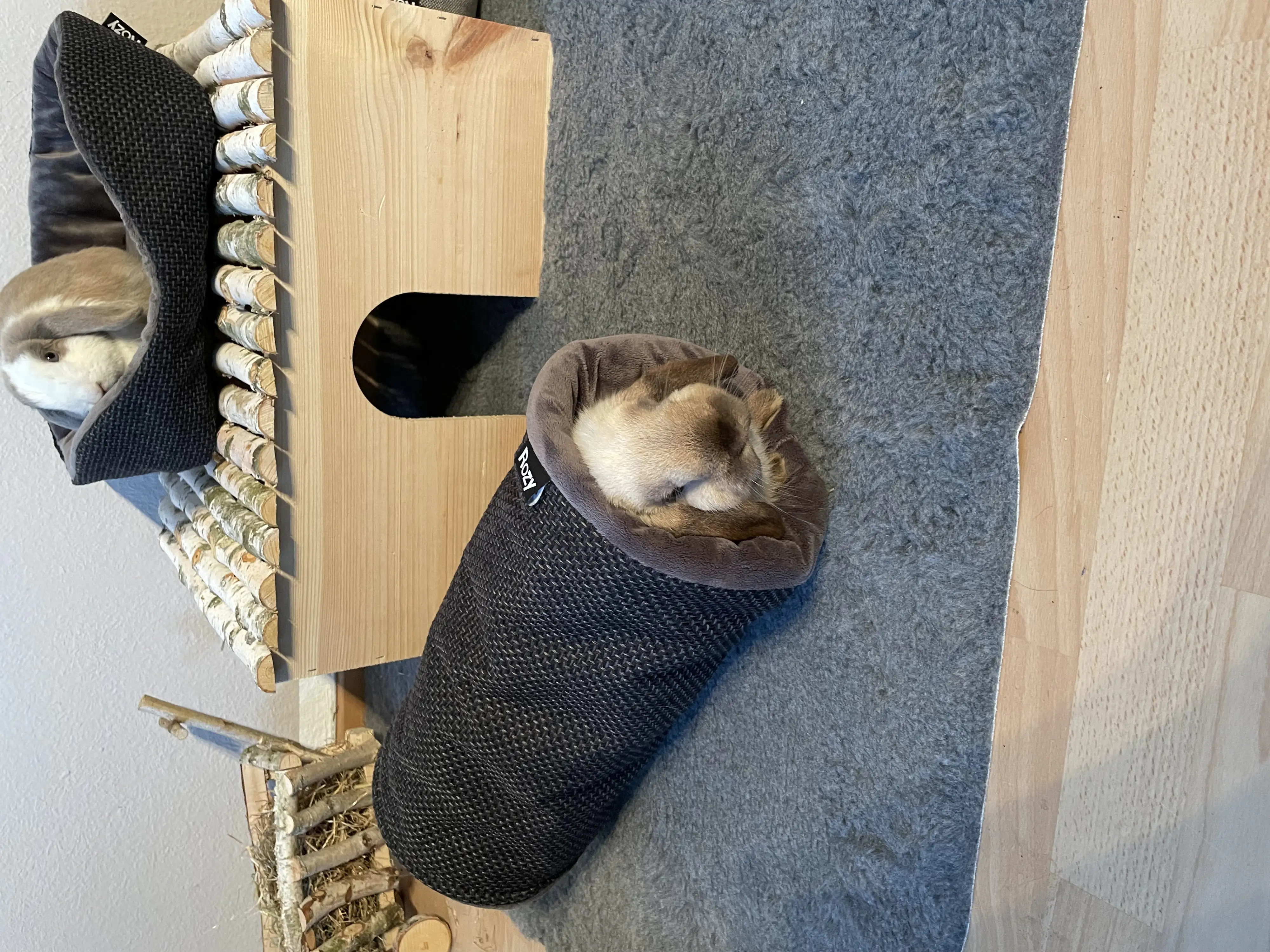 Ollesch Tunnel Stella 50 x 20 cm grau