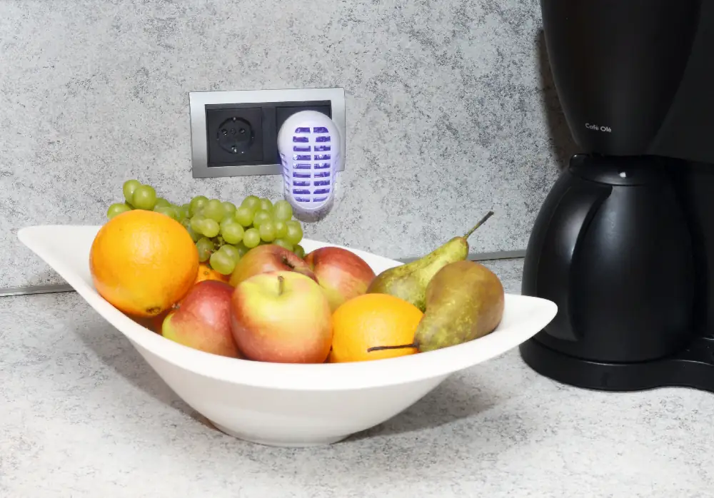 Gardigo Obstfliegen Vernichter