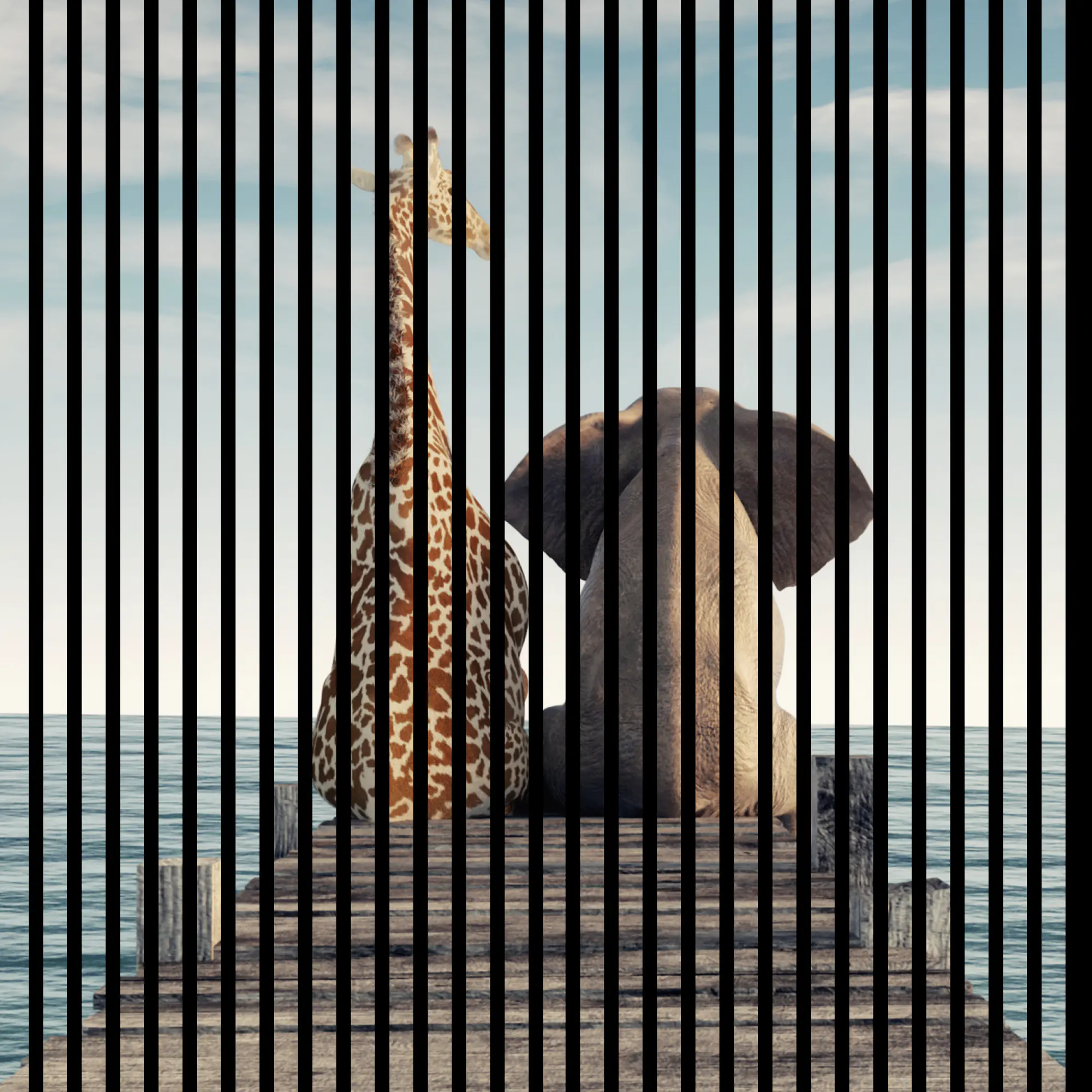 Neuhofer Akustikpaneele Elefant und Giraffe 119,5 x 113,3 x 1,9 cm