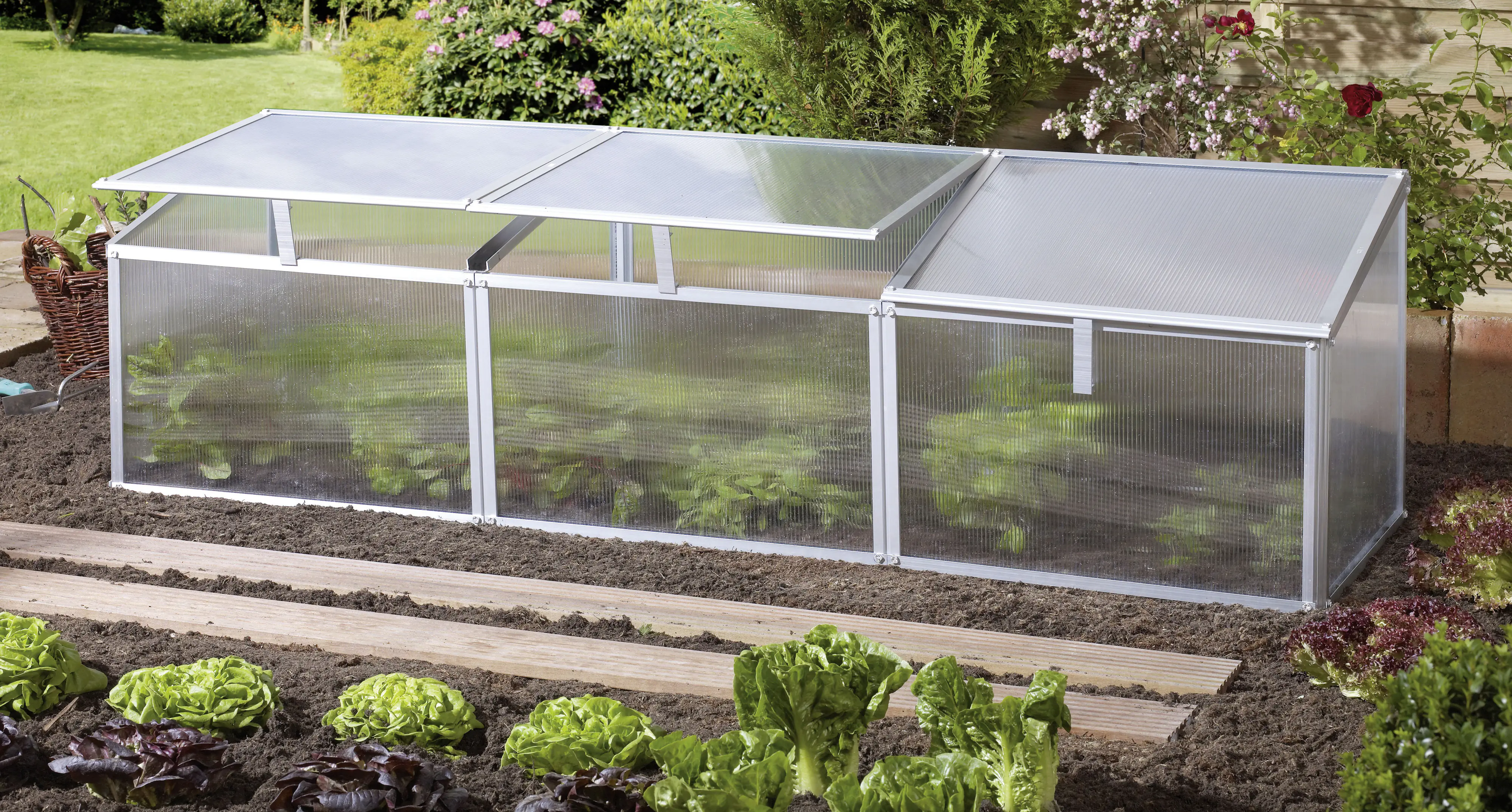 Vitavia Frühbeet Gaia 3X 53 x 180 cm inkl. 3 Dachfenstern