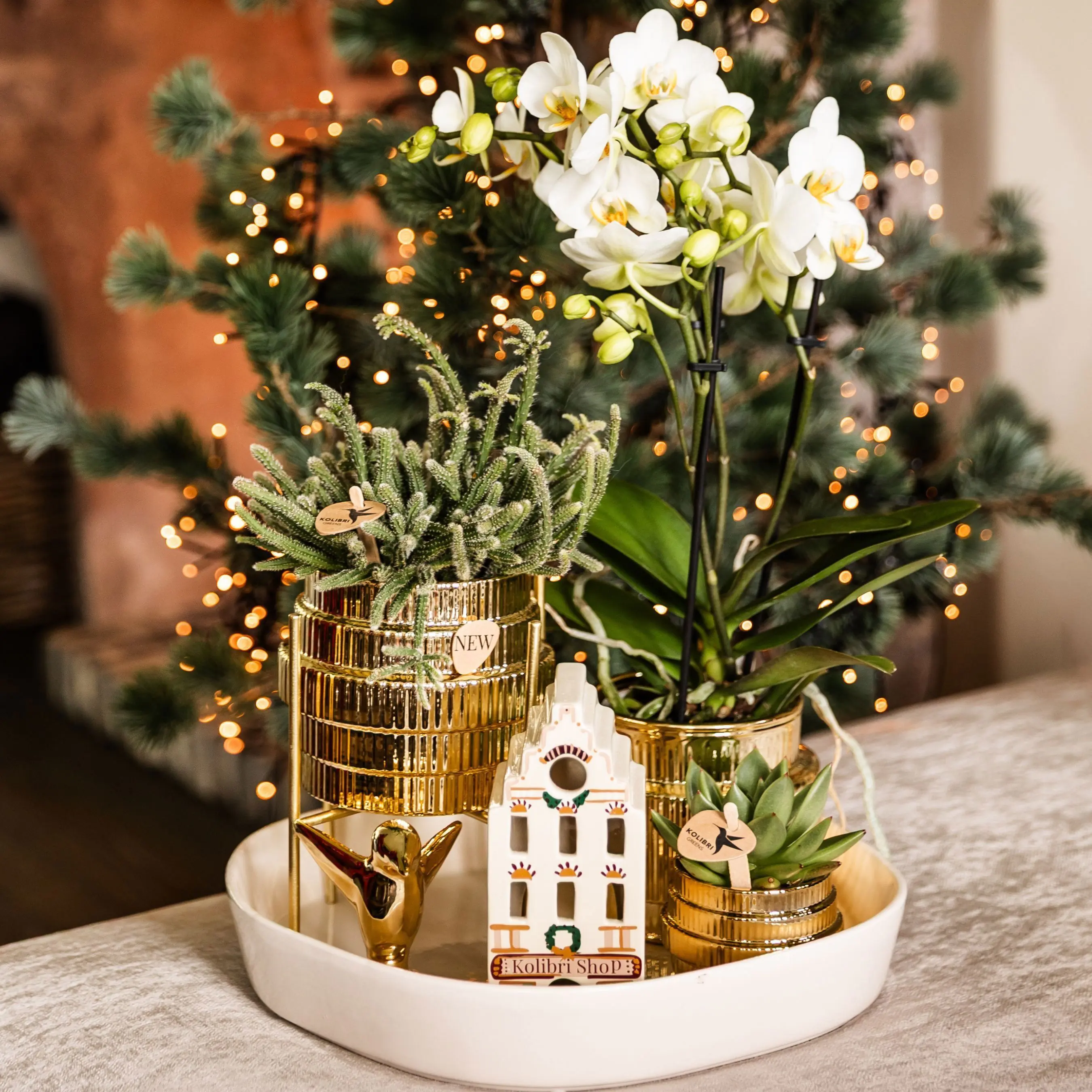 Kolibri Home Übertopf Allure Shiny Keramik Ø 9 x 11 cm 3-fach sortiert