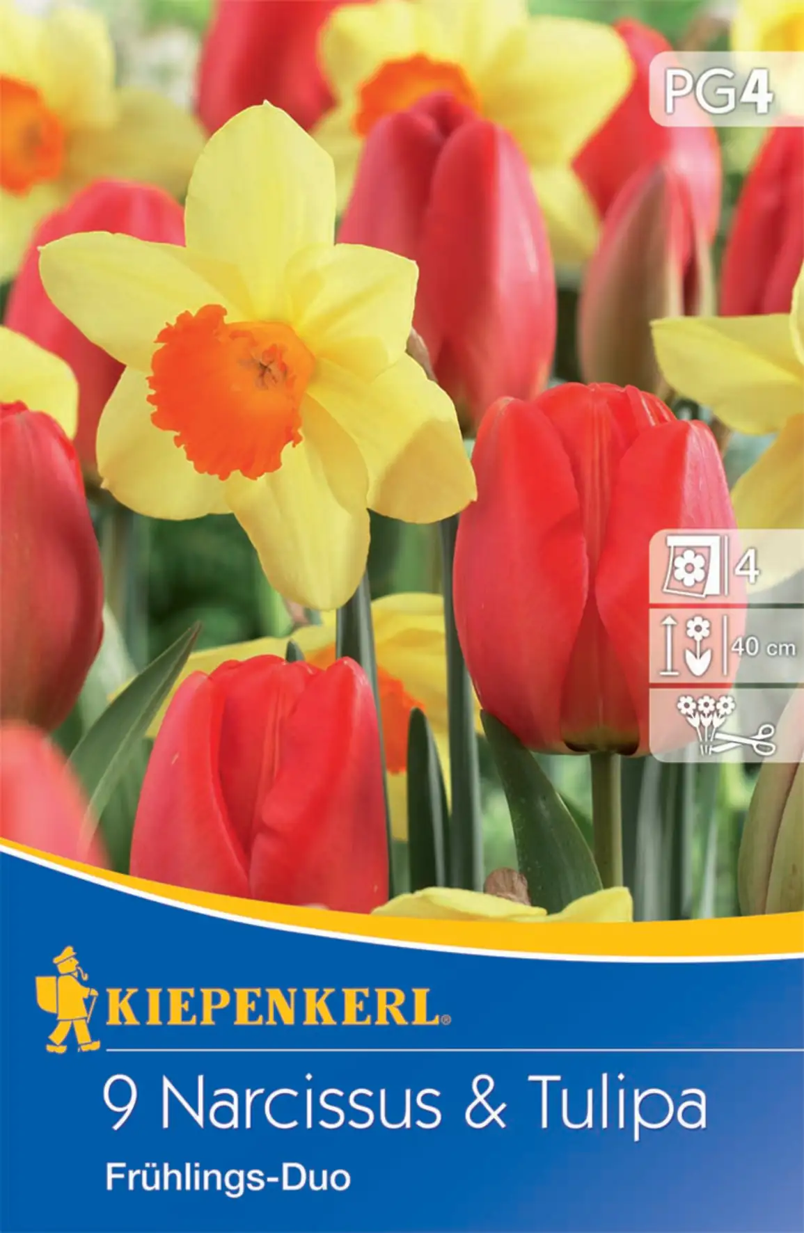 Kiepenkerl Blumenzwiebel Tulpen-Narzissen-Mischung Frühlingsduo