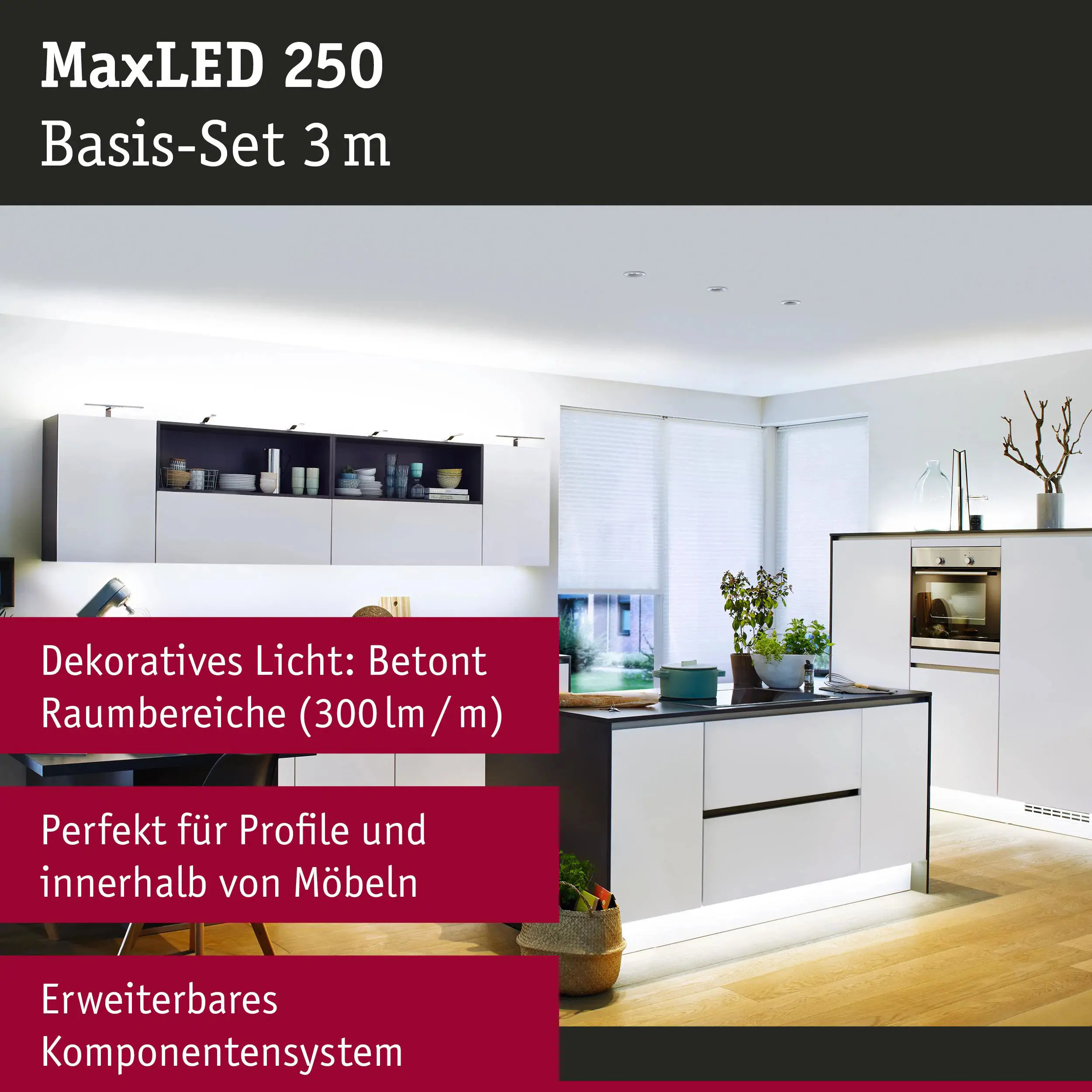 Paulmann LED-Streifen Set MaxLED 3 m 12 W kaltweiß silber dimmbar
