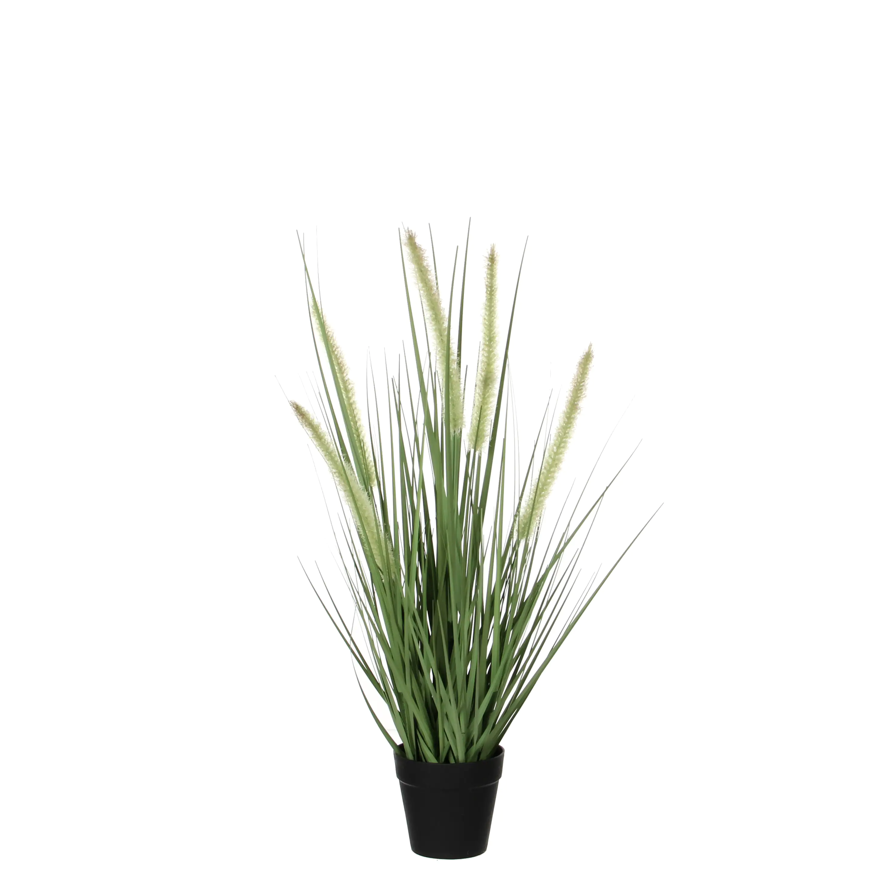8718861050875 Mica Kunstpflanze Dogtail 53 x 30 cm