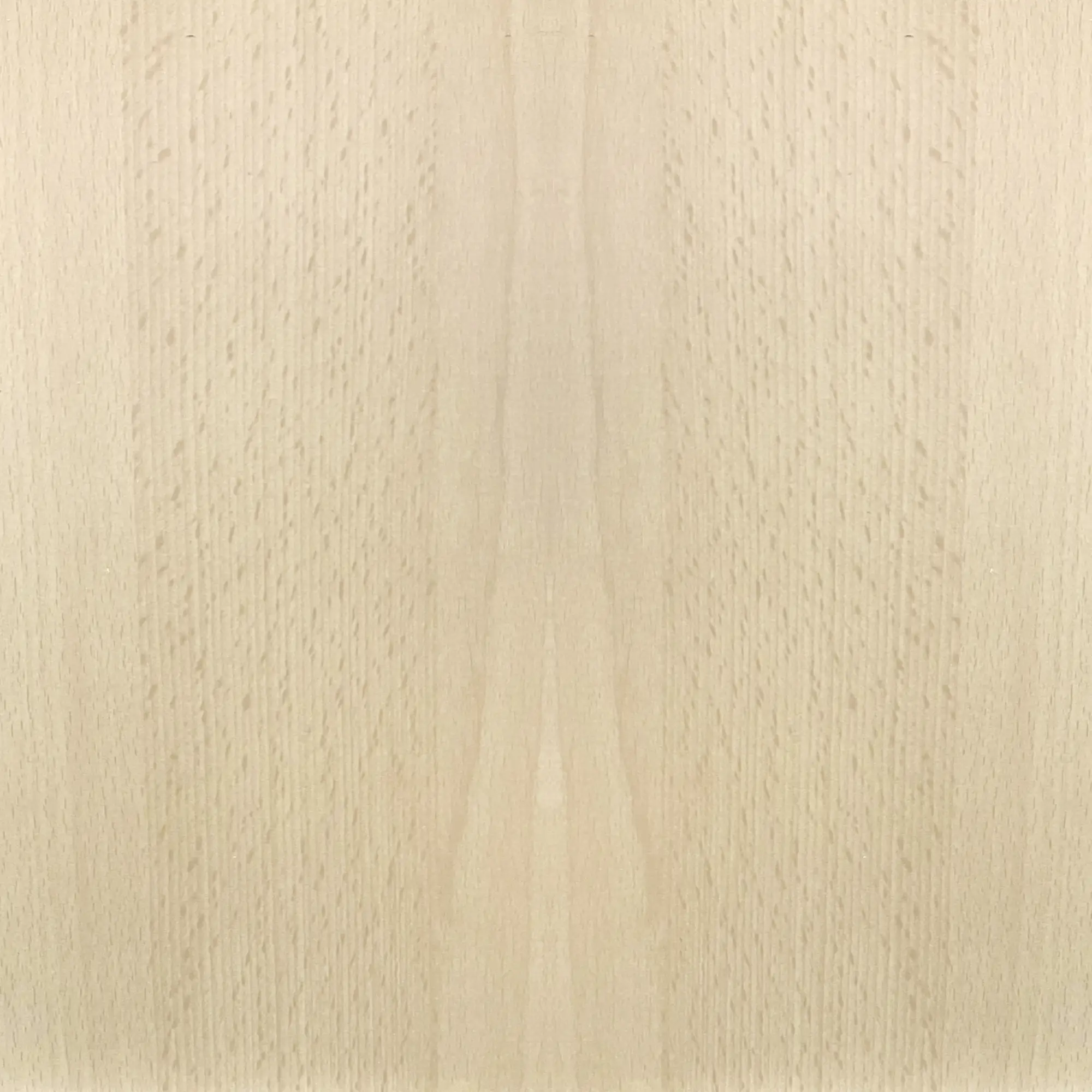 FN Neuhofer Flachleiste 210 cm 40 x 5 mm Buche