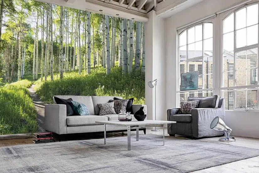 papermoon Vlies- Fototapete Digitaldruck 350 x 260 cm Birch Hiking Trail