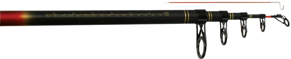 Concept Concept Zielfischrute Hecht Zander Spin Länge: 270 cm, WG 70 g