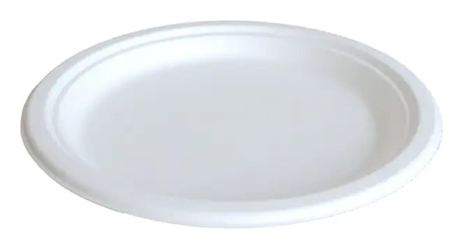 4014995248206 Braun & Company By nature Teller weiß Ø 23 cm 10 Stück