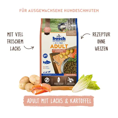 Bosch Trockenfutter für Hunde Adult 15 kg mit Lachs & Kartoffel Bosch Trockenfutter für Hunde Adult 15 kg mit Lachs & Kartoffel