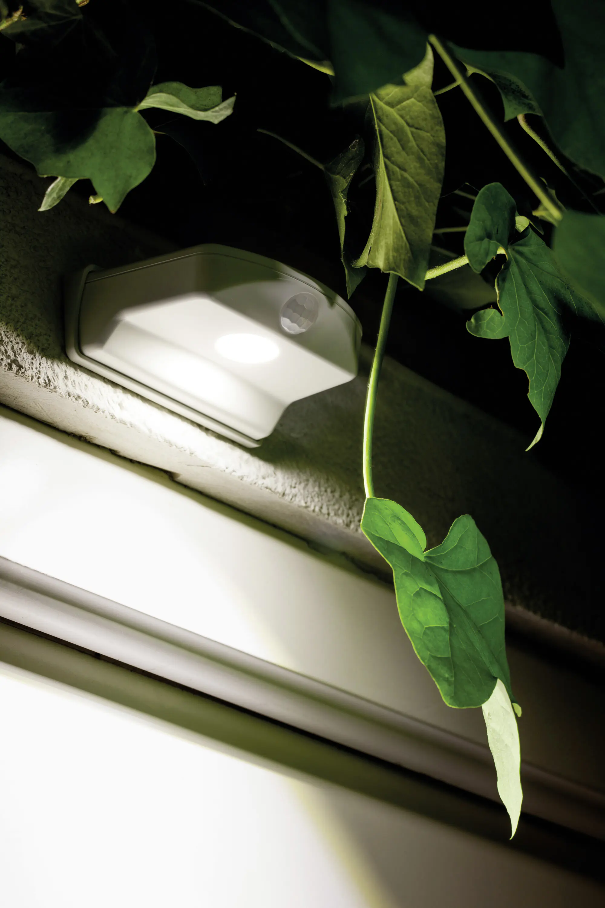 Osram LED-Außenleuchte Doorled Down mit Licht- & Bewegungssensor 10,25 cm kaltweiß weiß