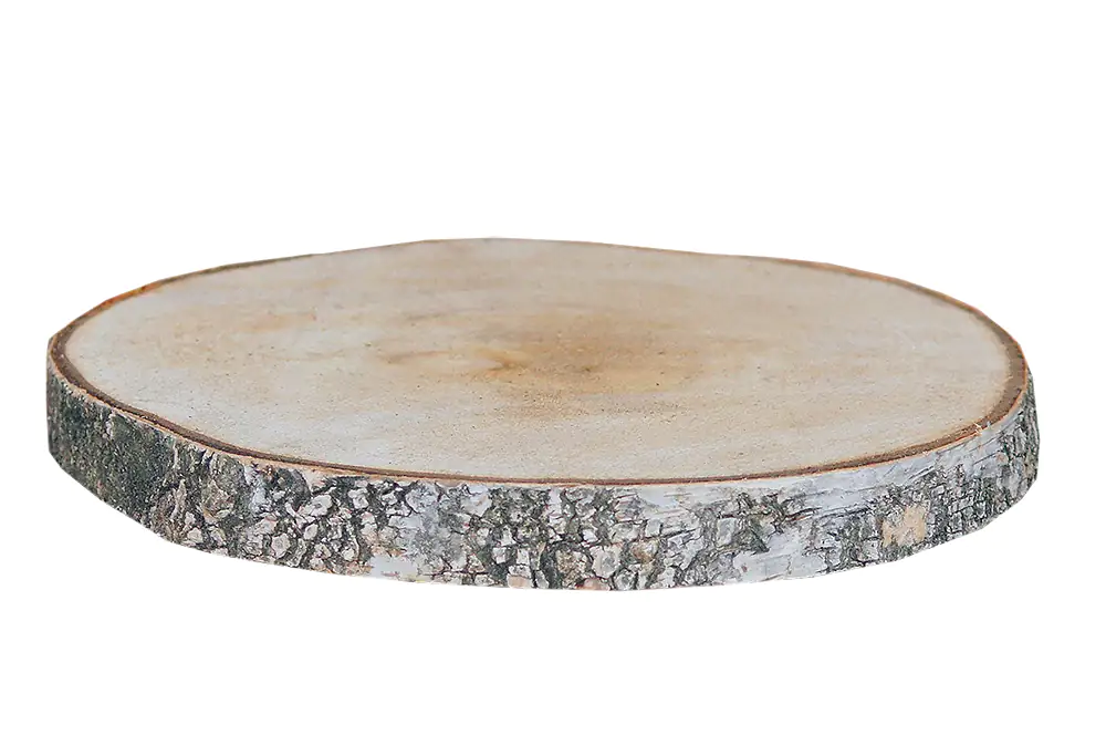 4260546685161 Birkenholzscheiben rund 100% Natur 18-30 cm ø