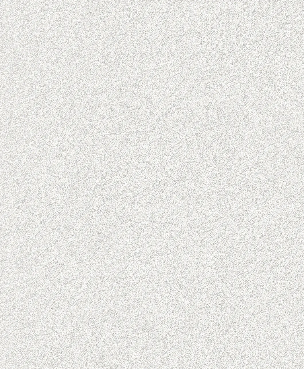 Rasch Vliestapete 144000 Wallton uni feine punktstruktur 10,05 x 0,53 m 