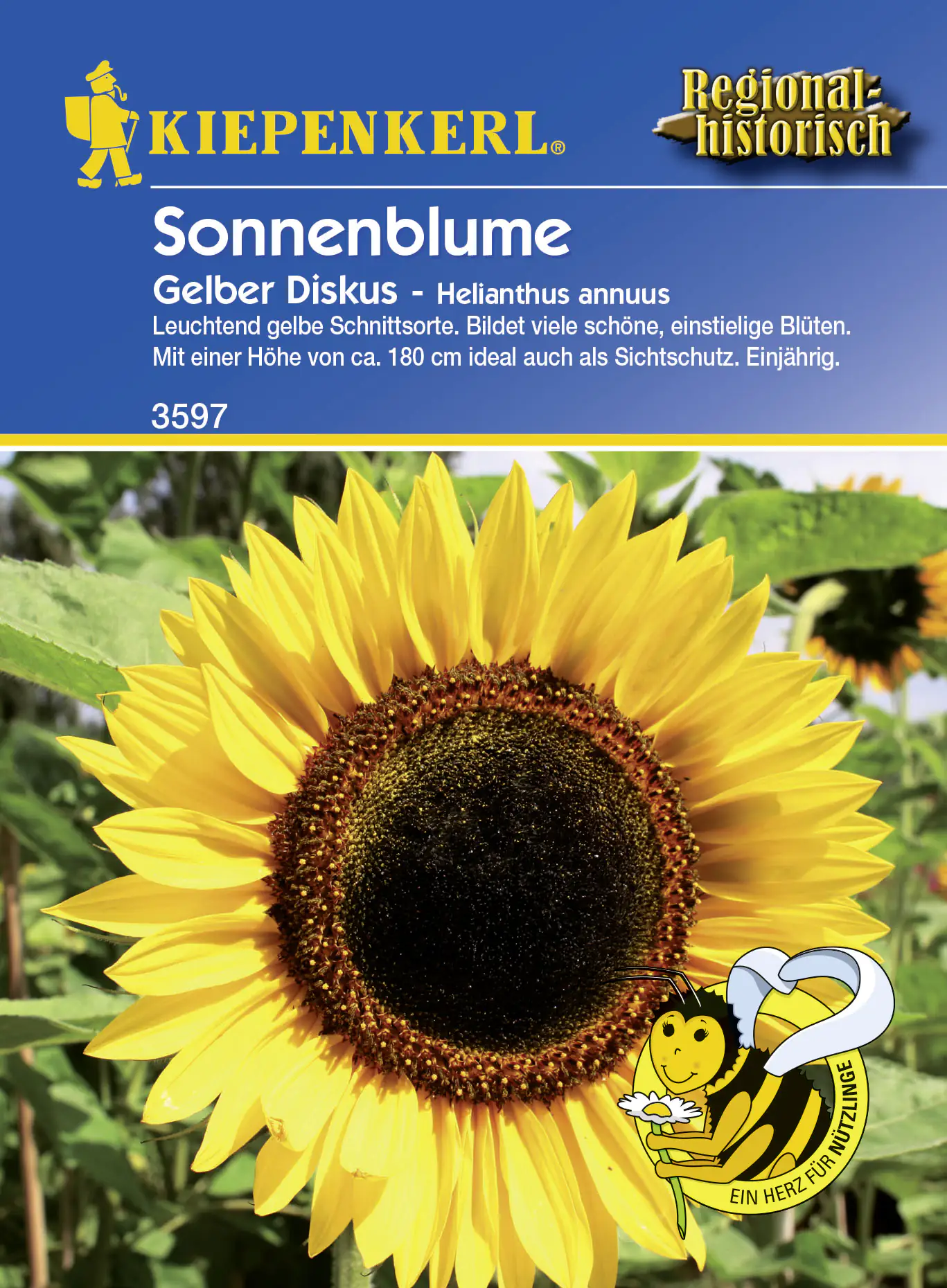 4000159185975 Kiepenkerl Sonnenblume Gelber Diskus ca. 20 Pflanzen